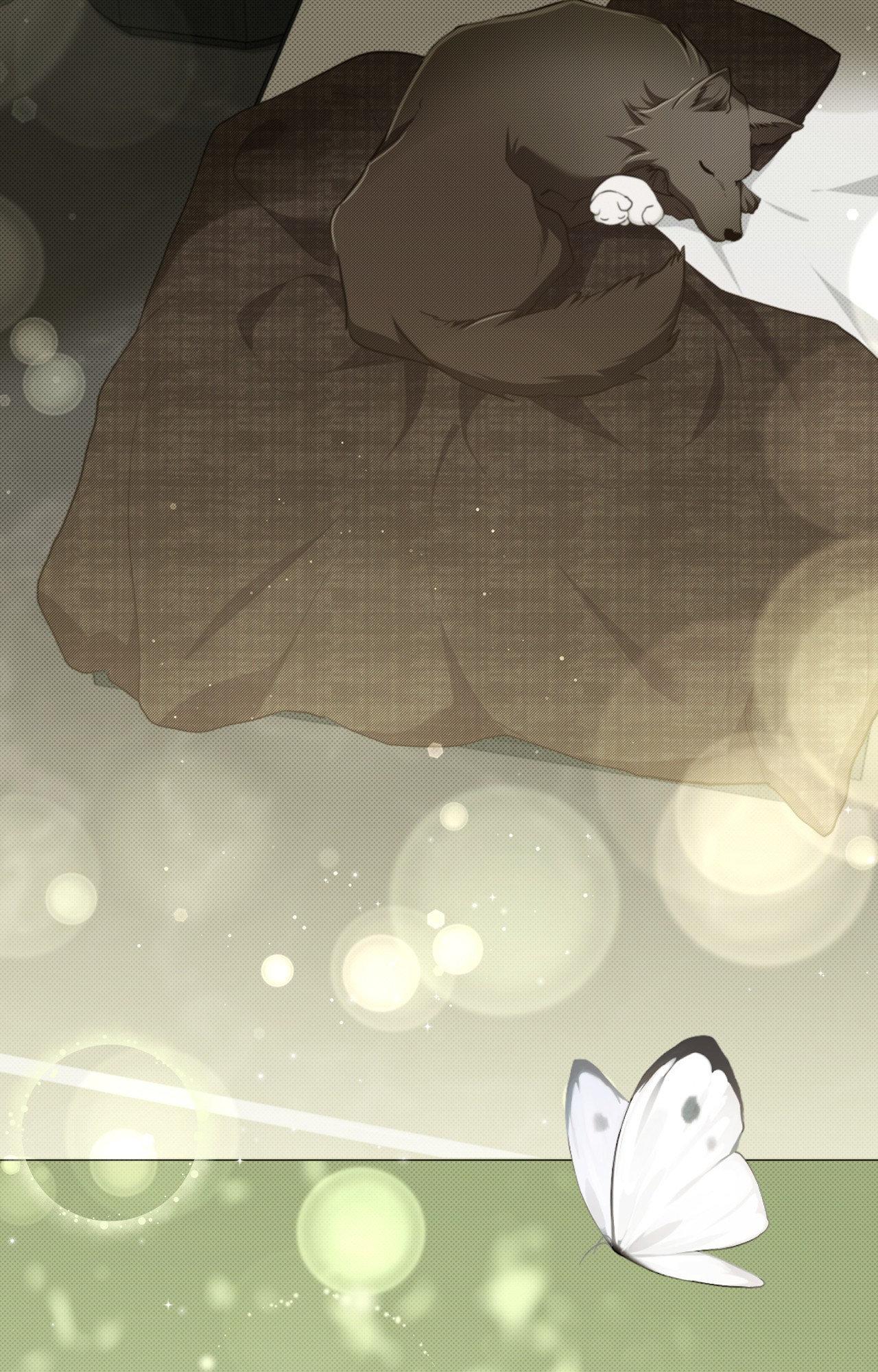 Paws & Claws - Chapter 44 manhwa