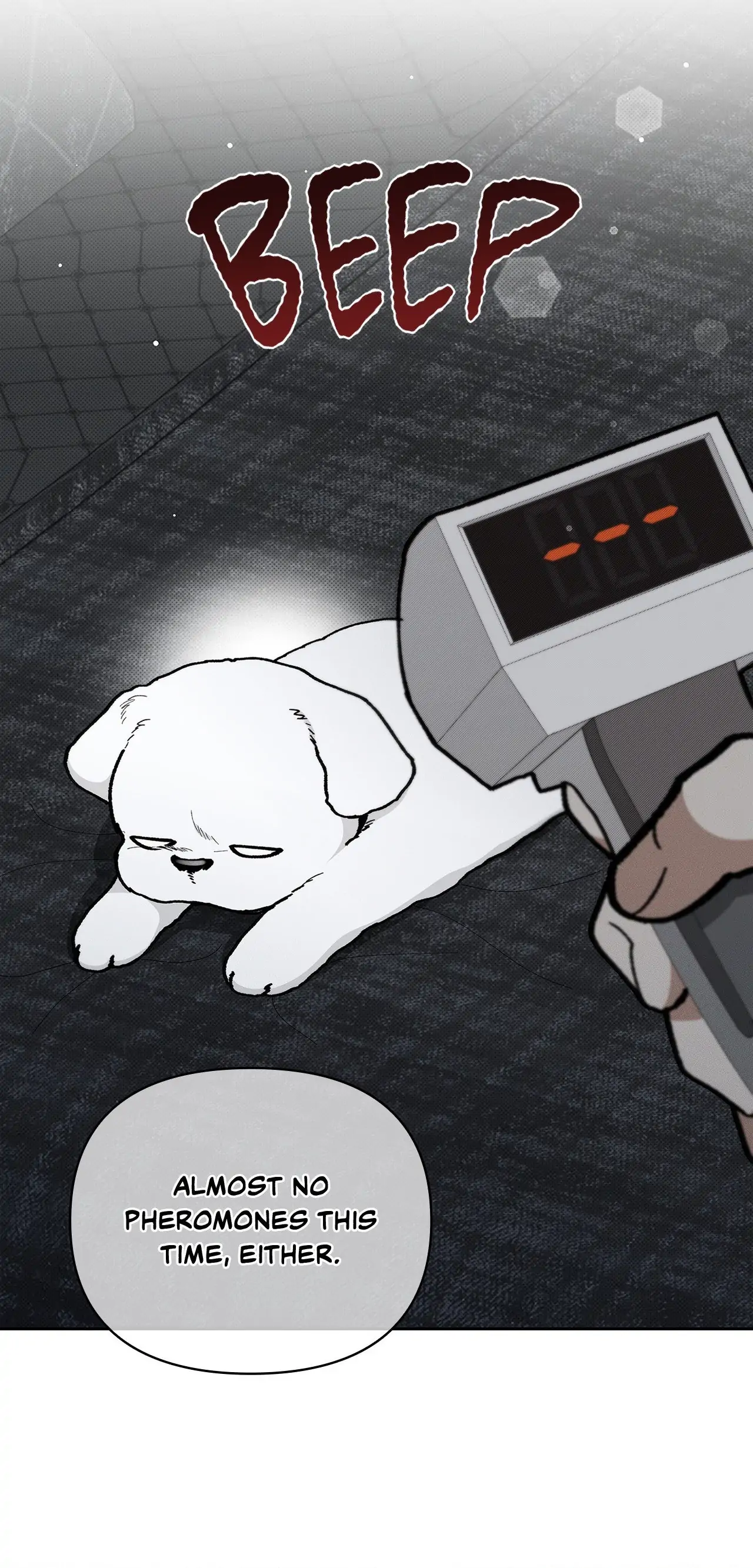 Paws & Claws - Chapter 7 manhwa