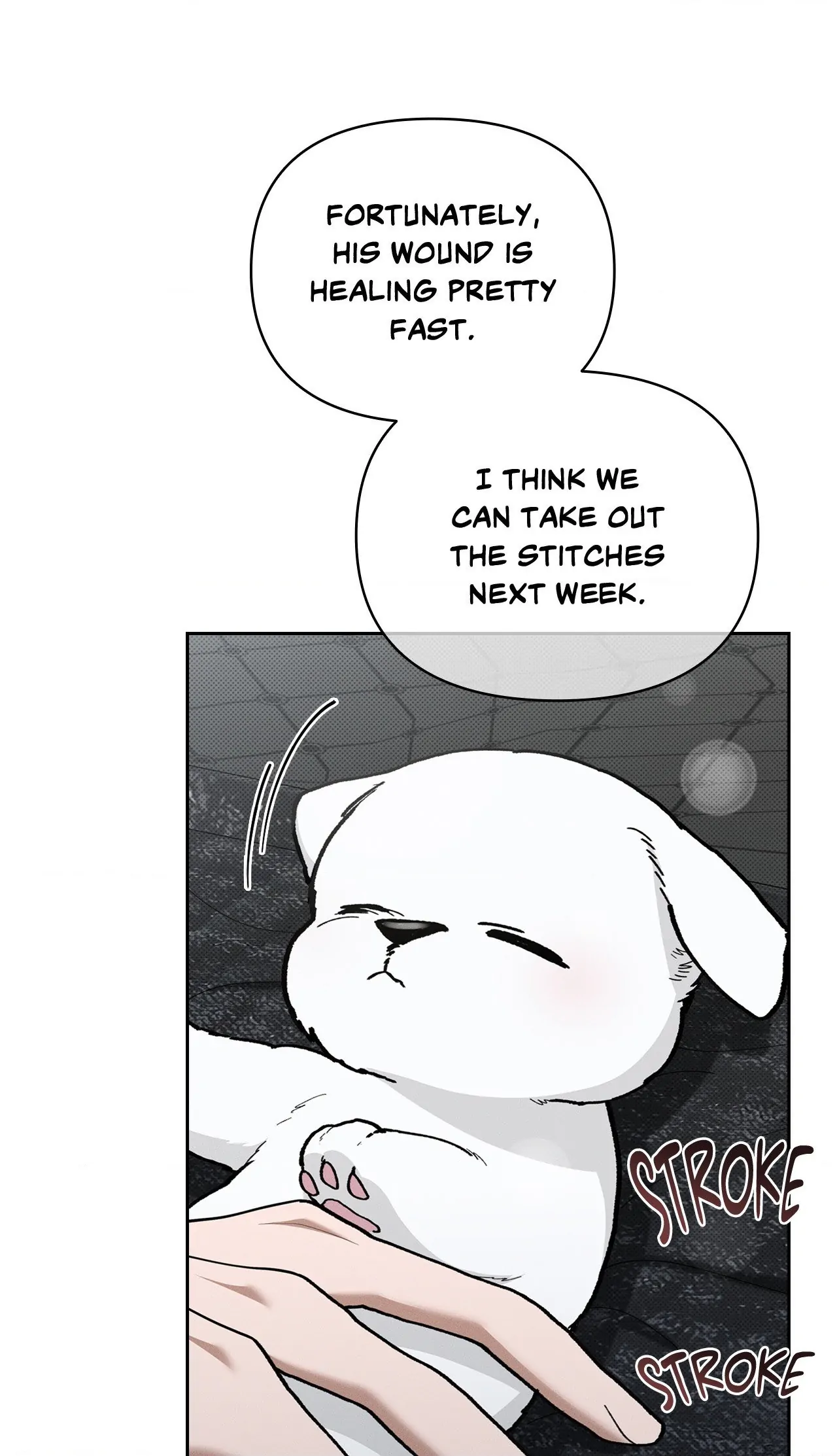 Paws & Claws - Chapter 7 manhwa