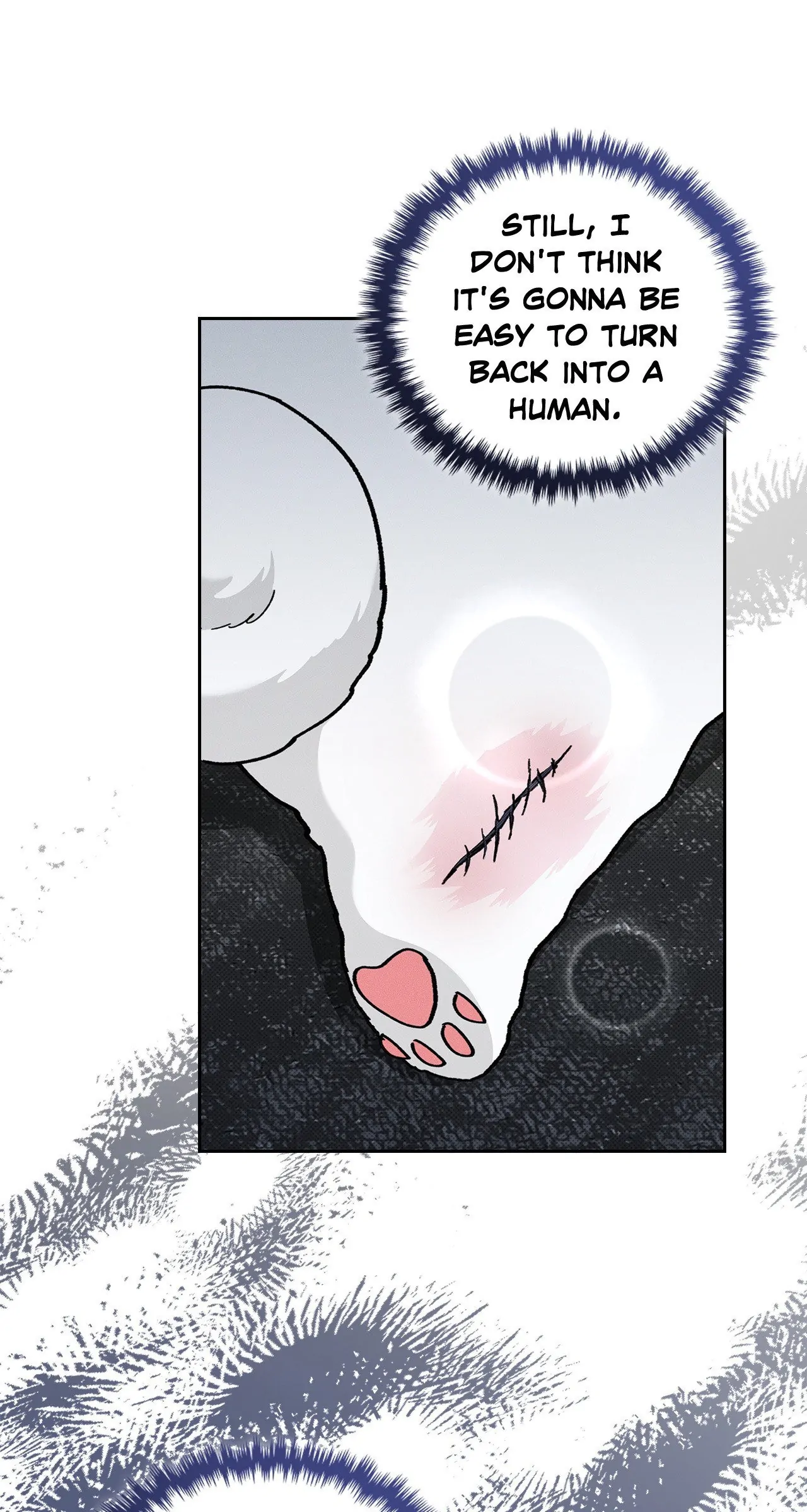 Paws & Claws - Chapter 7 manhwa