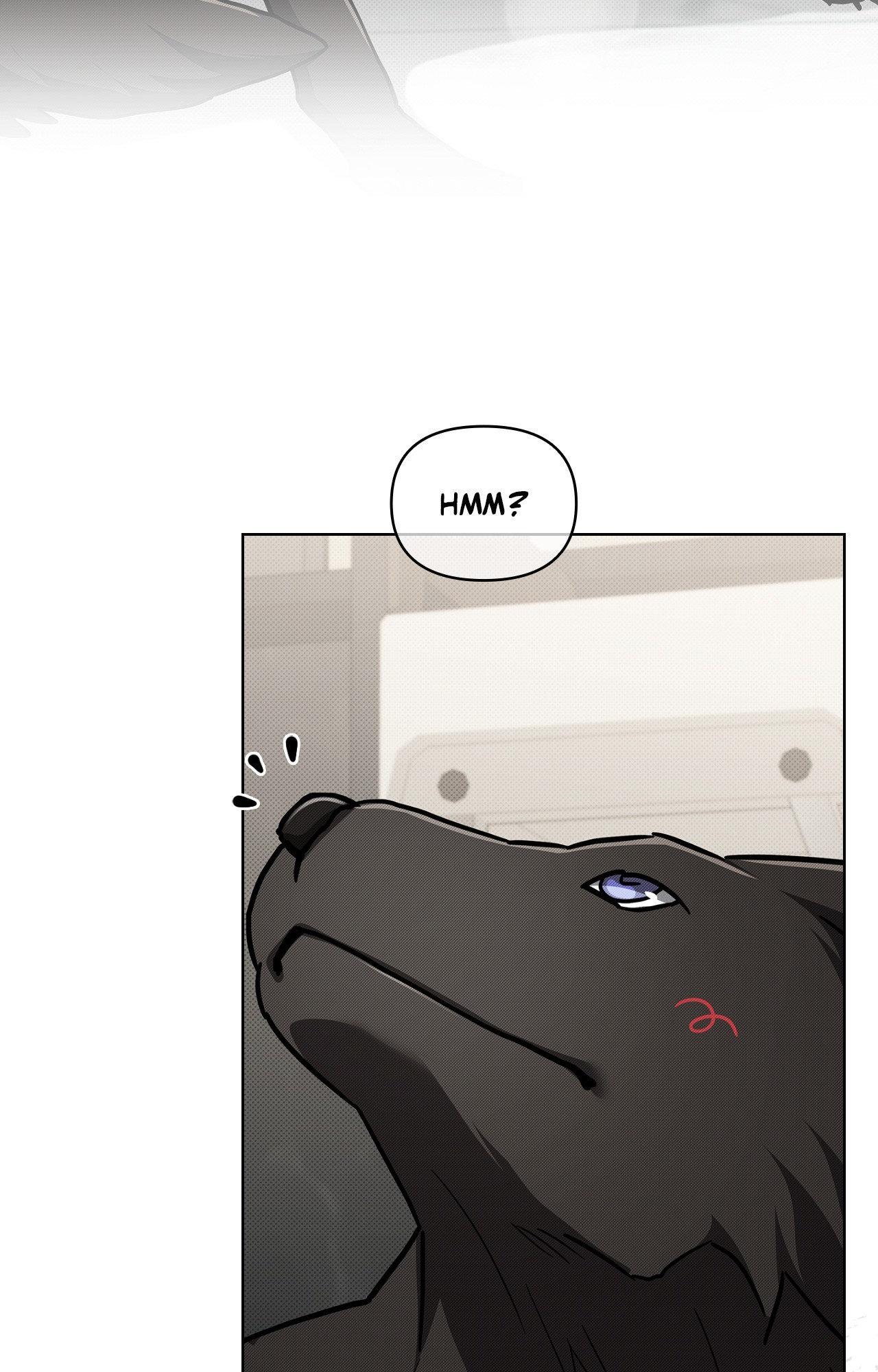Paws & Claws - Epilogue (1) manhwa