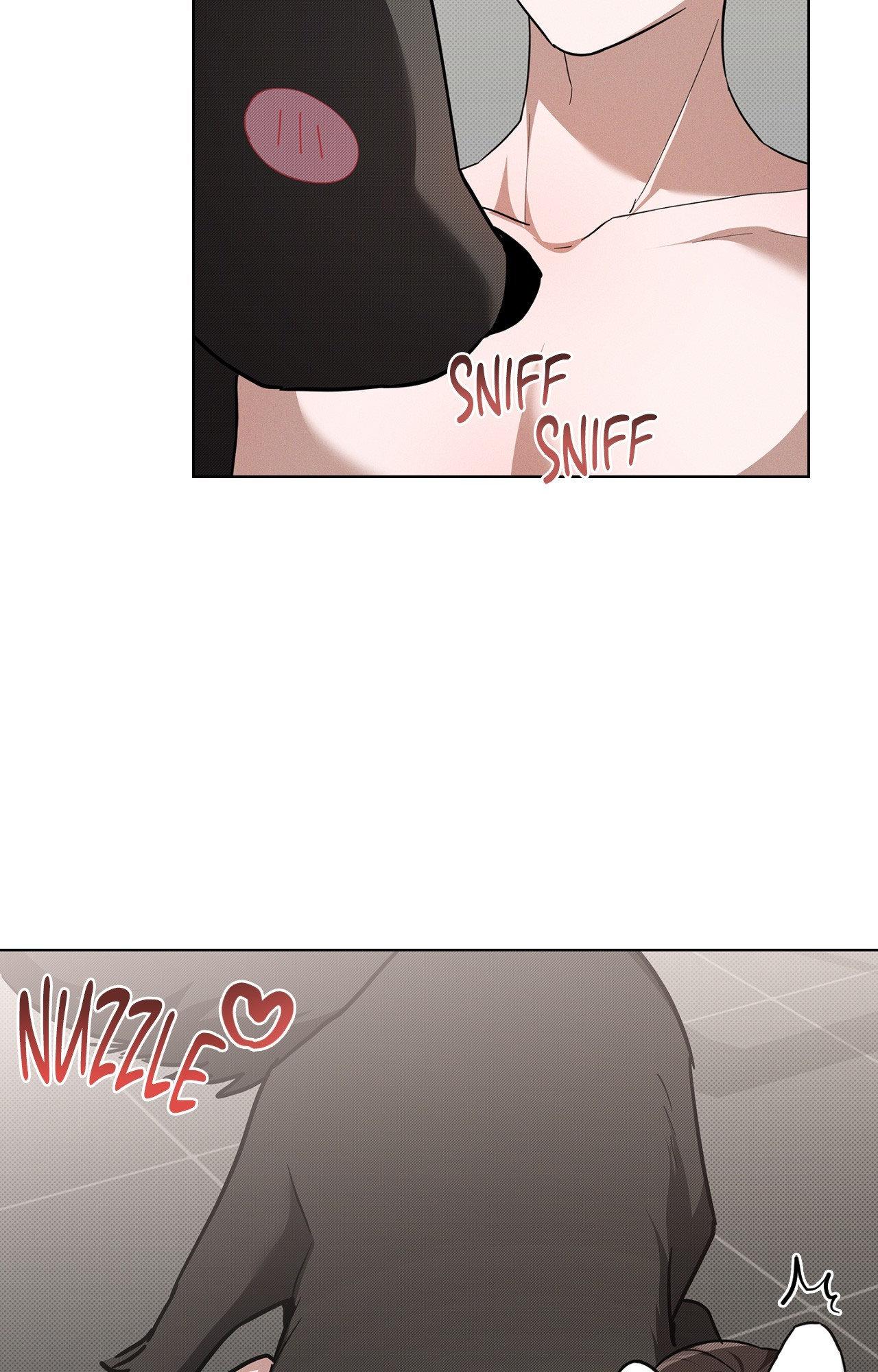 Paws & Claws - Epilogue (1) manhwa