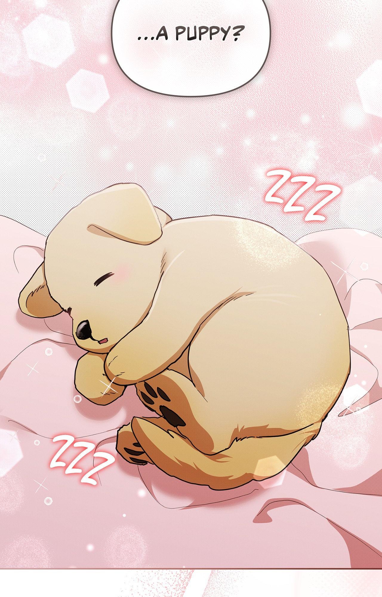 Paws & Claws - Epilogue (2) manhwa