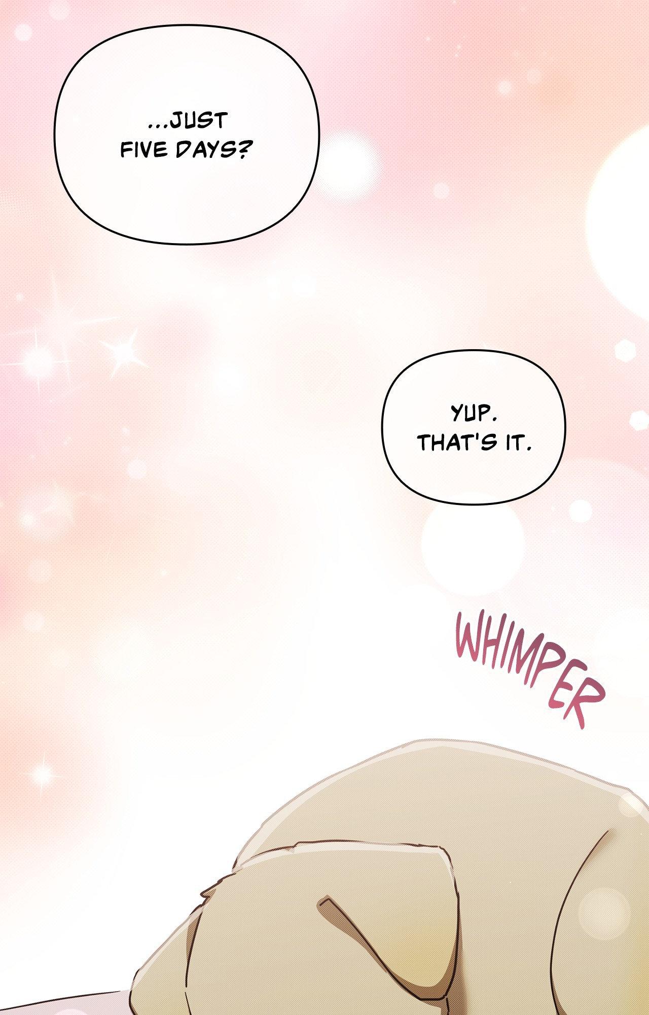 Paws & Claws - Epilogue (2) manhwa