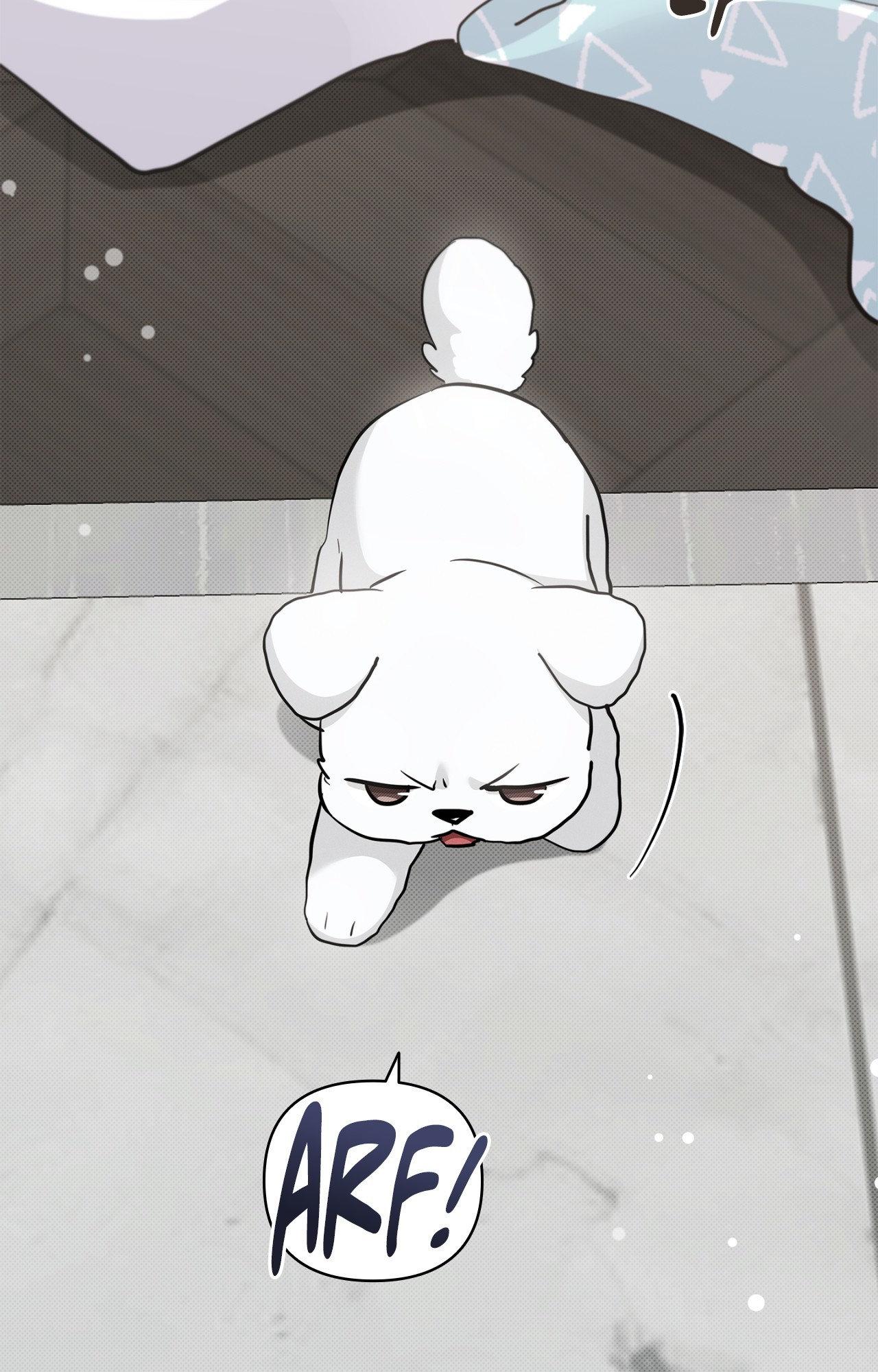 Paws & Claws - Epilogue (2) manhwa