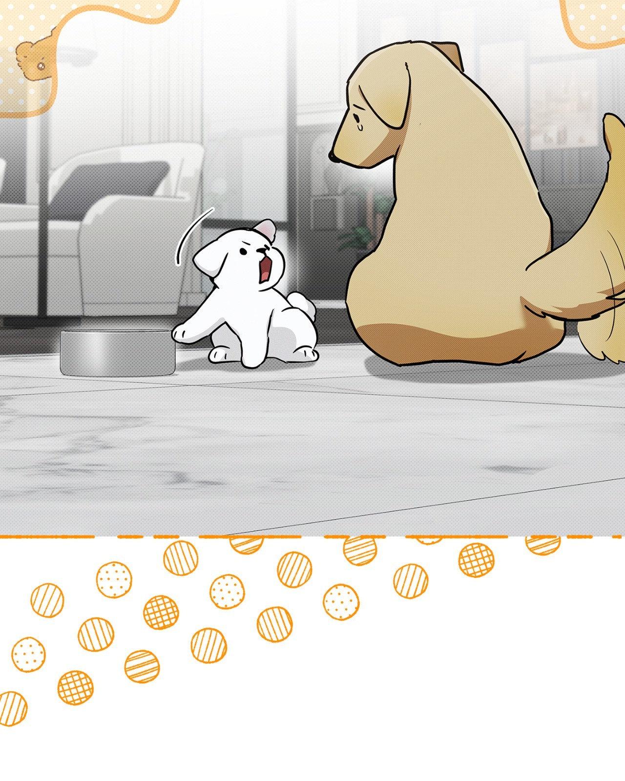 Paws & Claws - Epilogue (3) manhwa