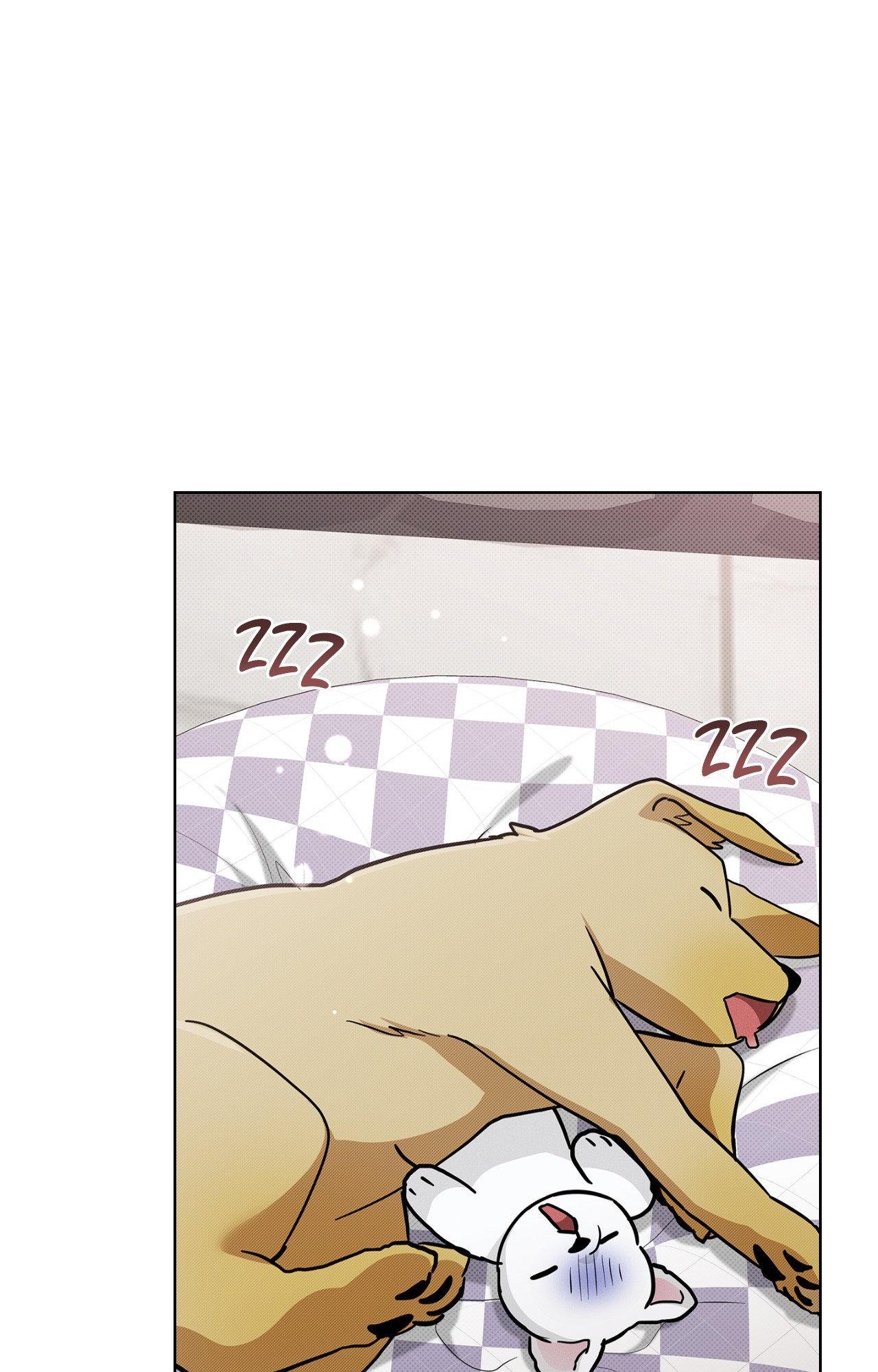 Paws & Claws - Epilogue (3) manhwa