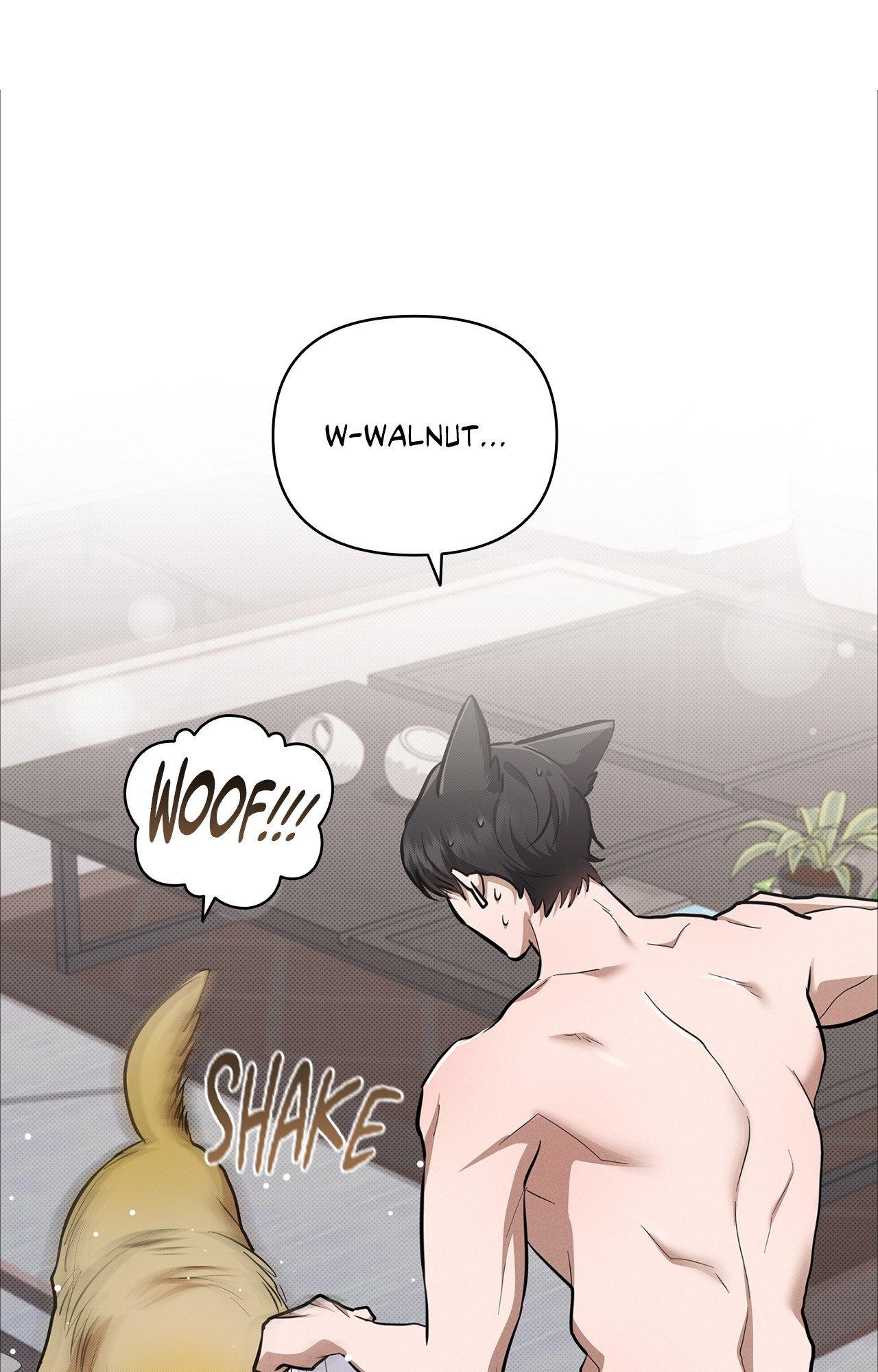 Paws & Claws - Epilogue (4) manhwa