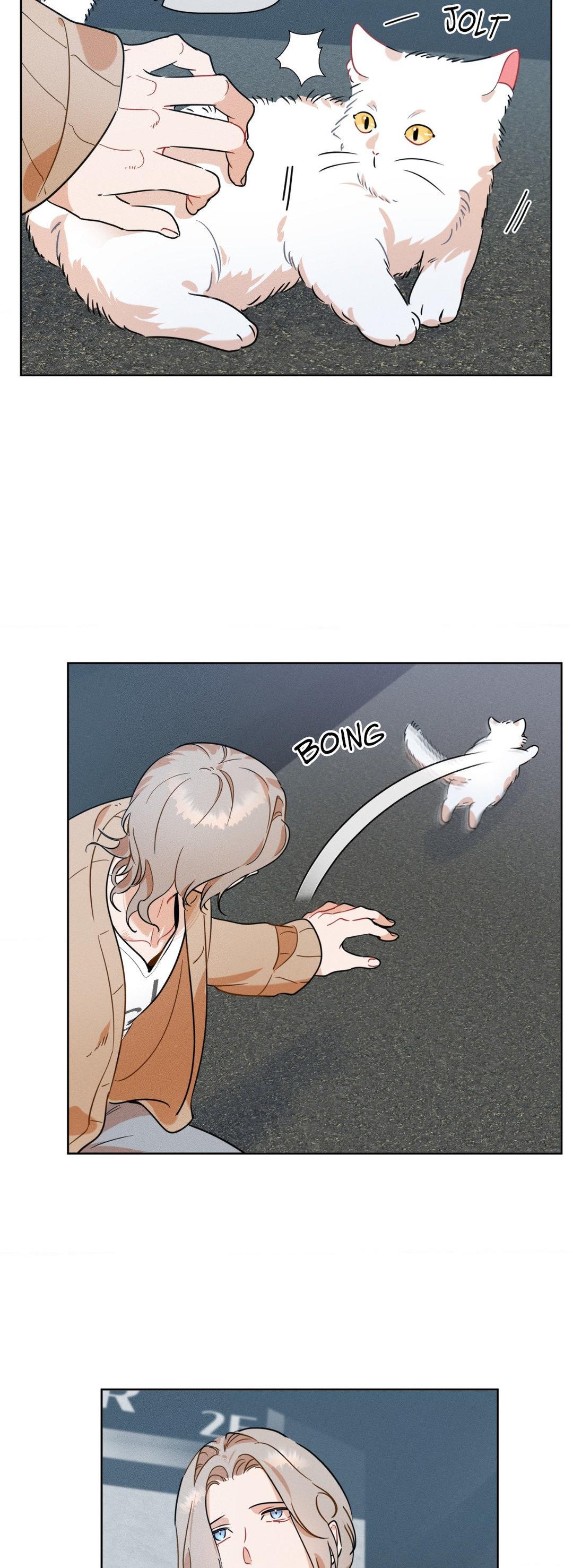 Report My Boss! [Official] - Chapter 12 manhwa
