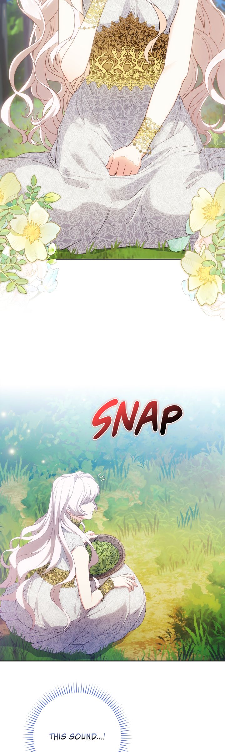 The Princess in The Henhouse (Official) - Chapter 1 manhwa