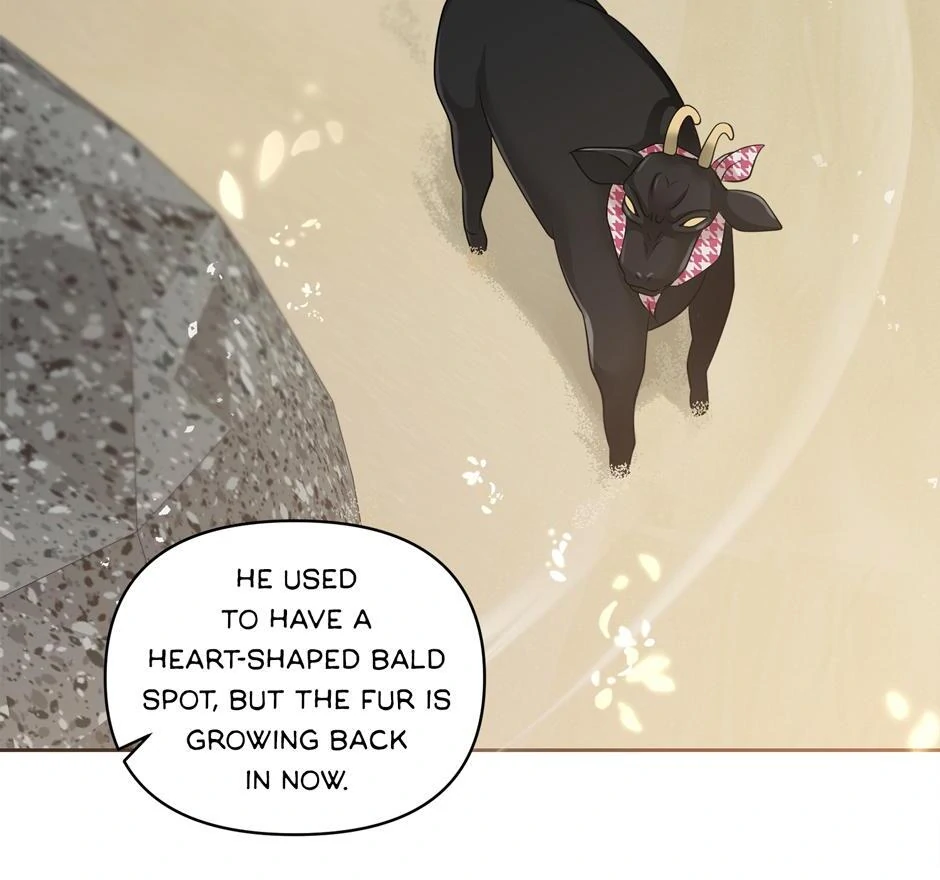 Got You! Wonderland [Official] - Chapter 24 manhwa