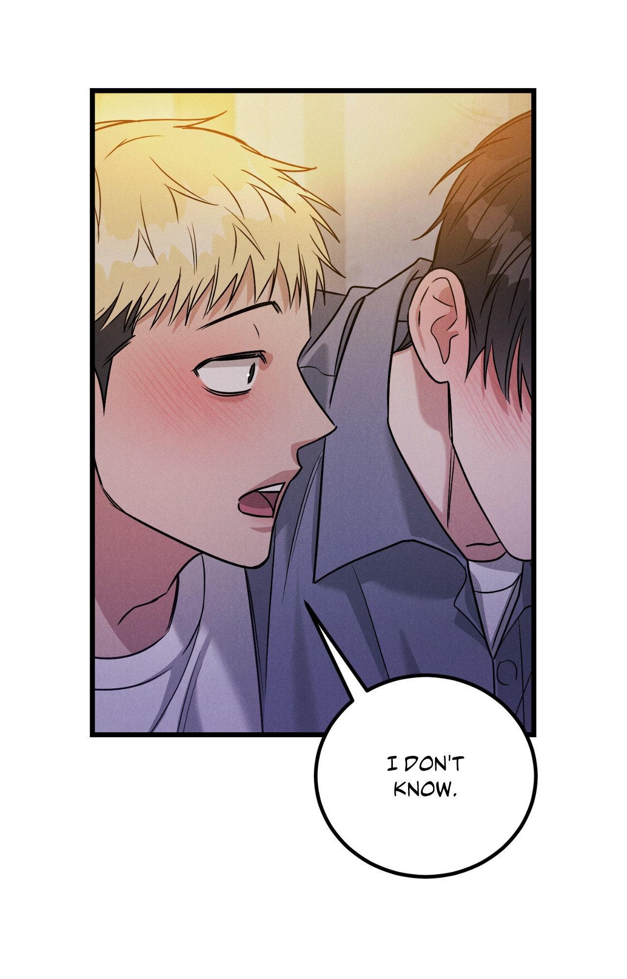 Placebo - Side Story 2 manhwa