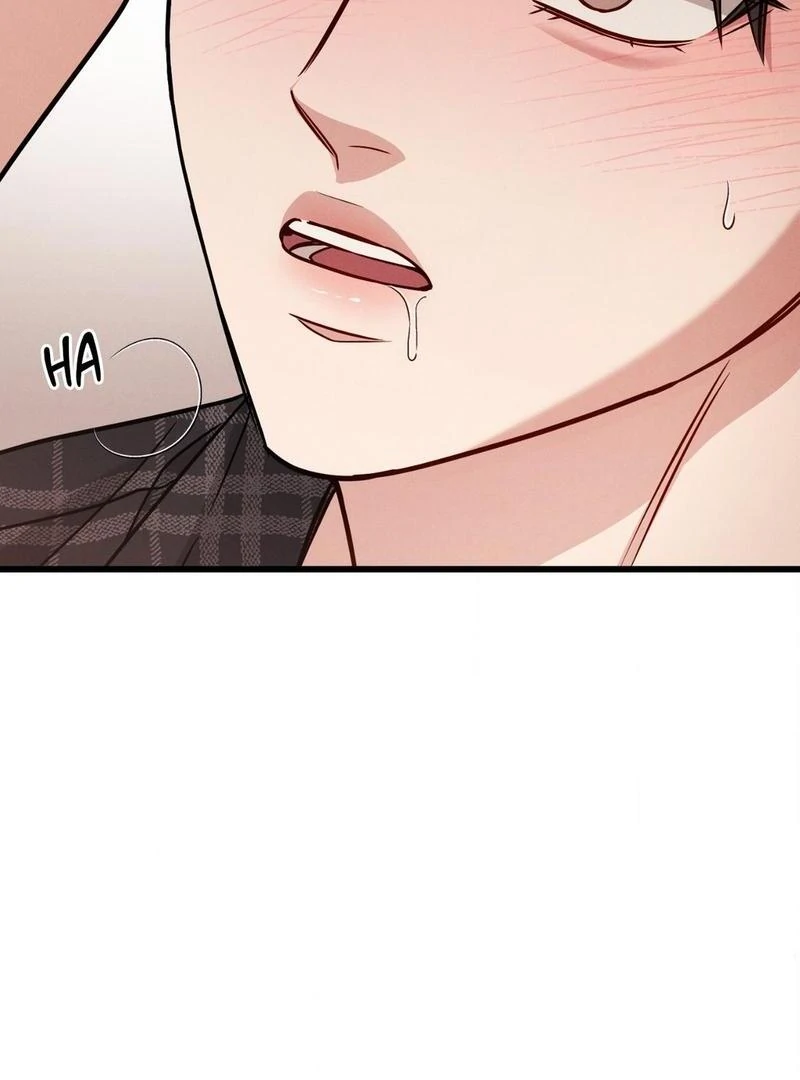 Placebo - Side Story 4 manhwa