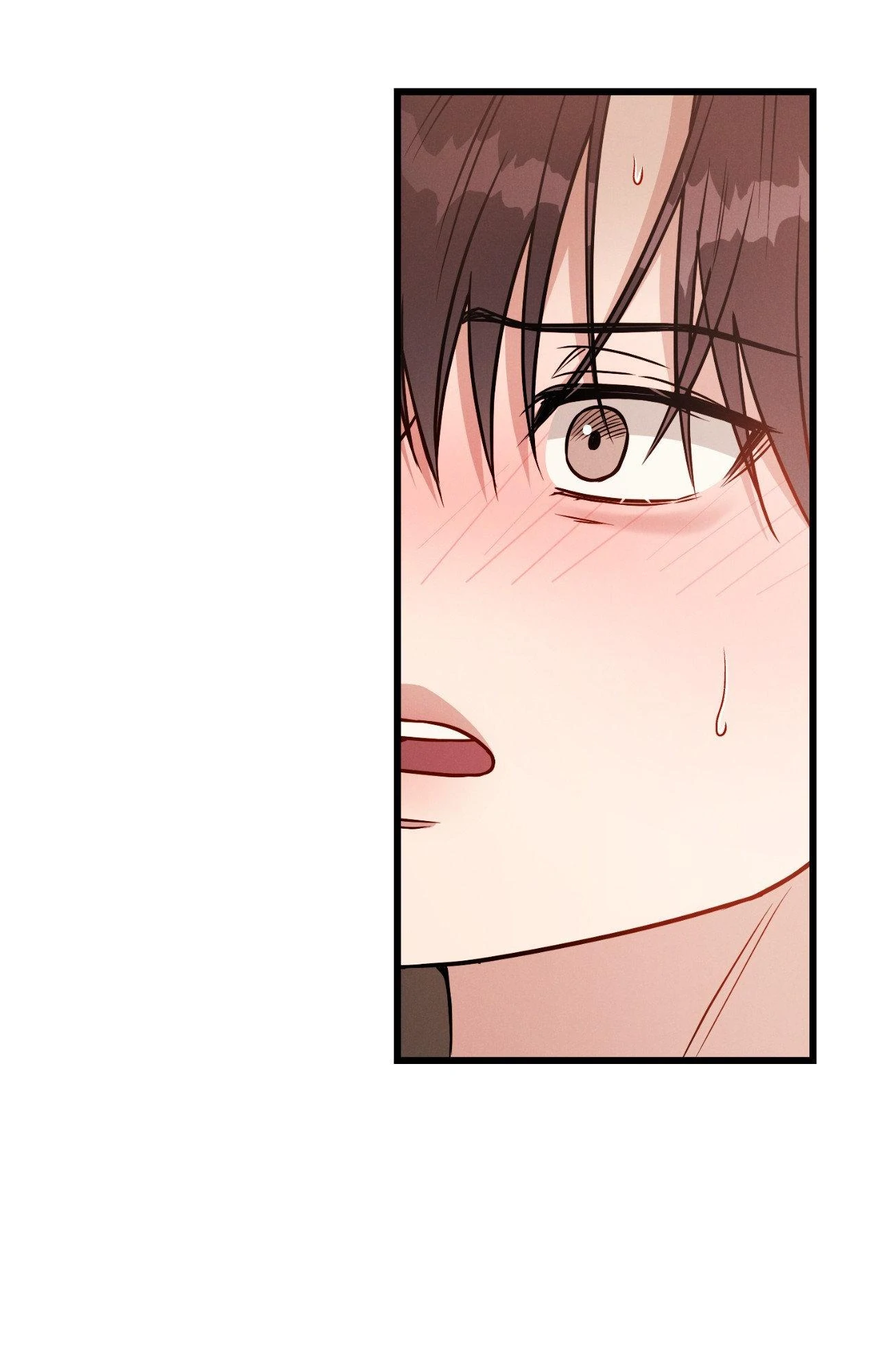 Placebo - Side Story 5 [Side Story 1 Finale] manhwa