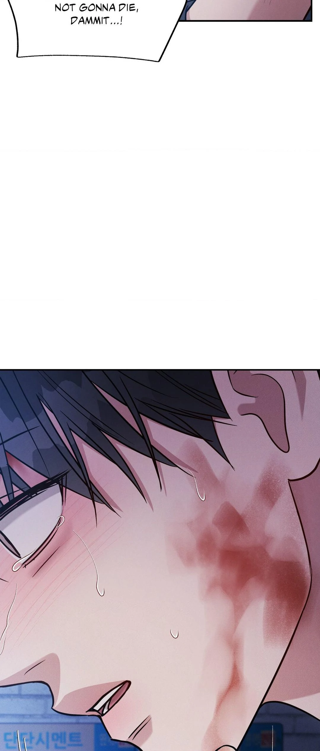 Placebo - The End manhwa