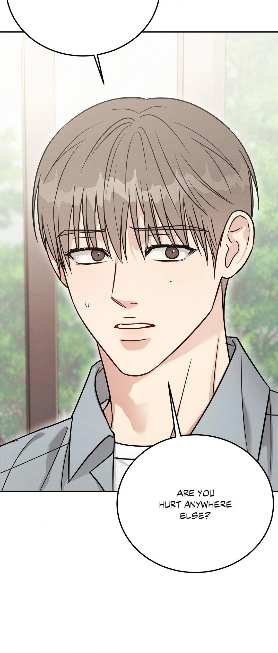 Placebo - The End manhwa