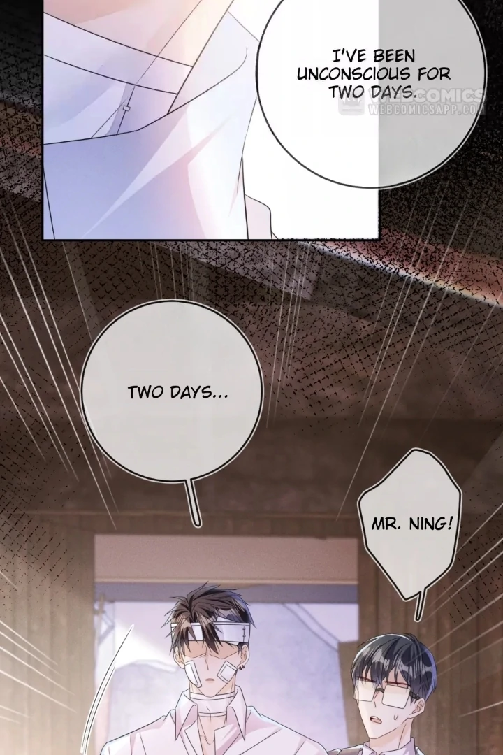 The Irresistible Conquest (Official) - Chapter 65 manhwa