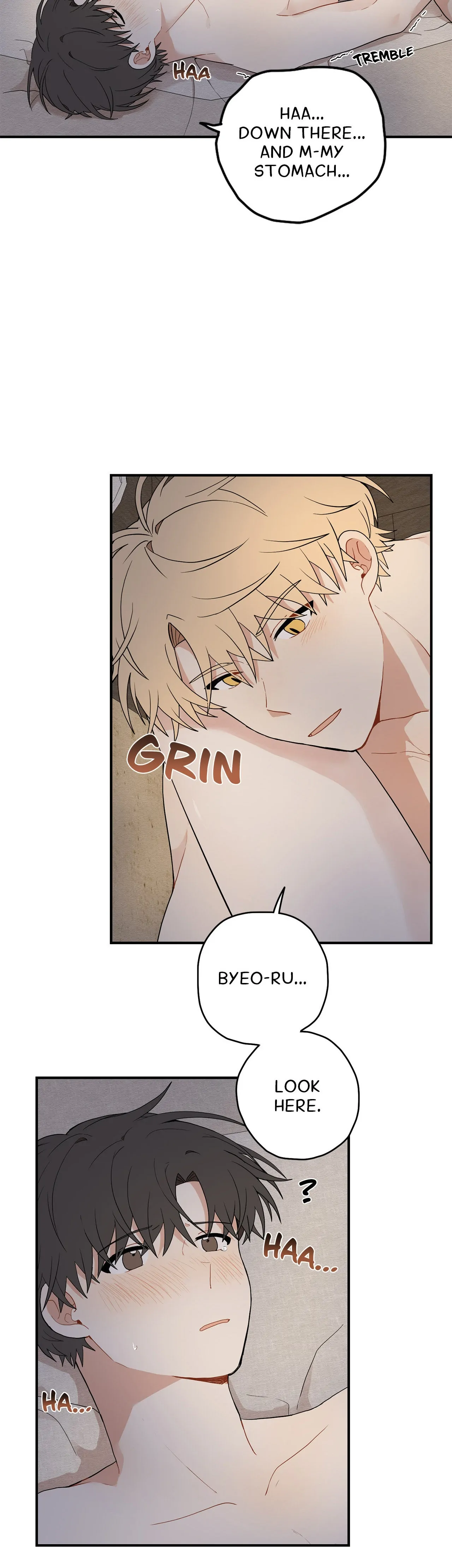 Golden Bells and Dragon Scales [Official] - Chapter 15 manhwa