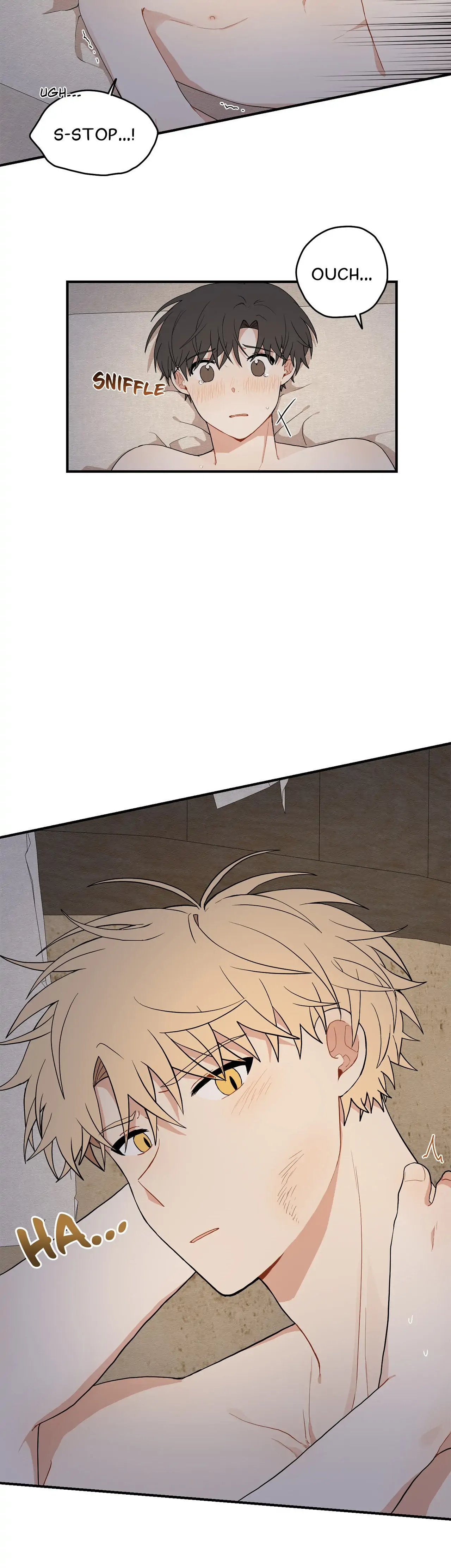 Golden Bells and Dragon Scales [Official] - Chapter 15 manhwa