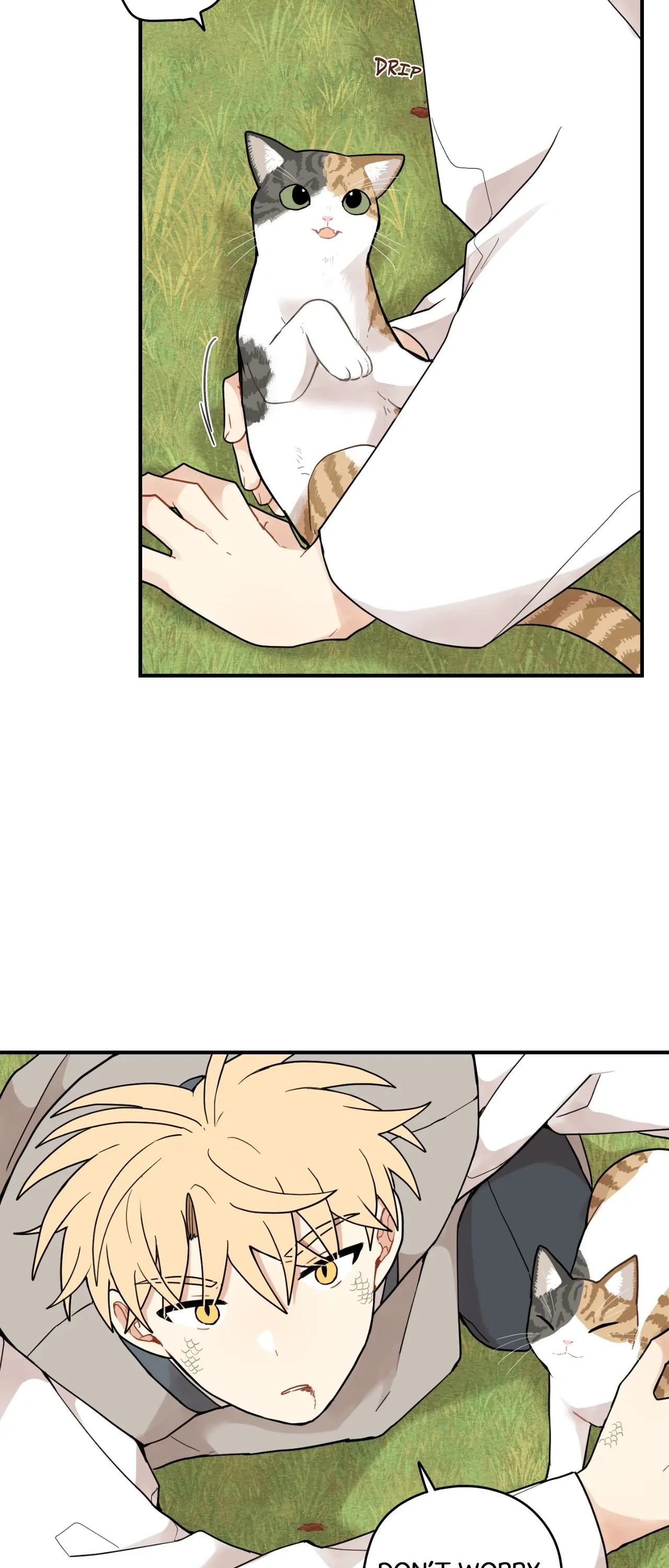 Golden Bells and Dragon Scales [Official] - Chapter 64 manhwa