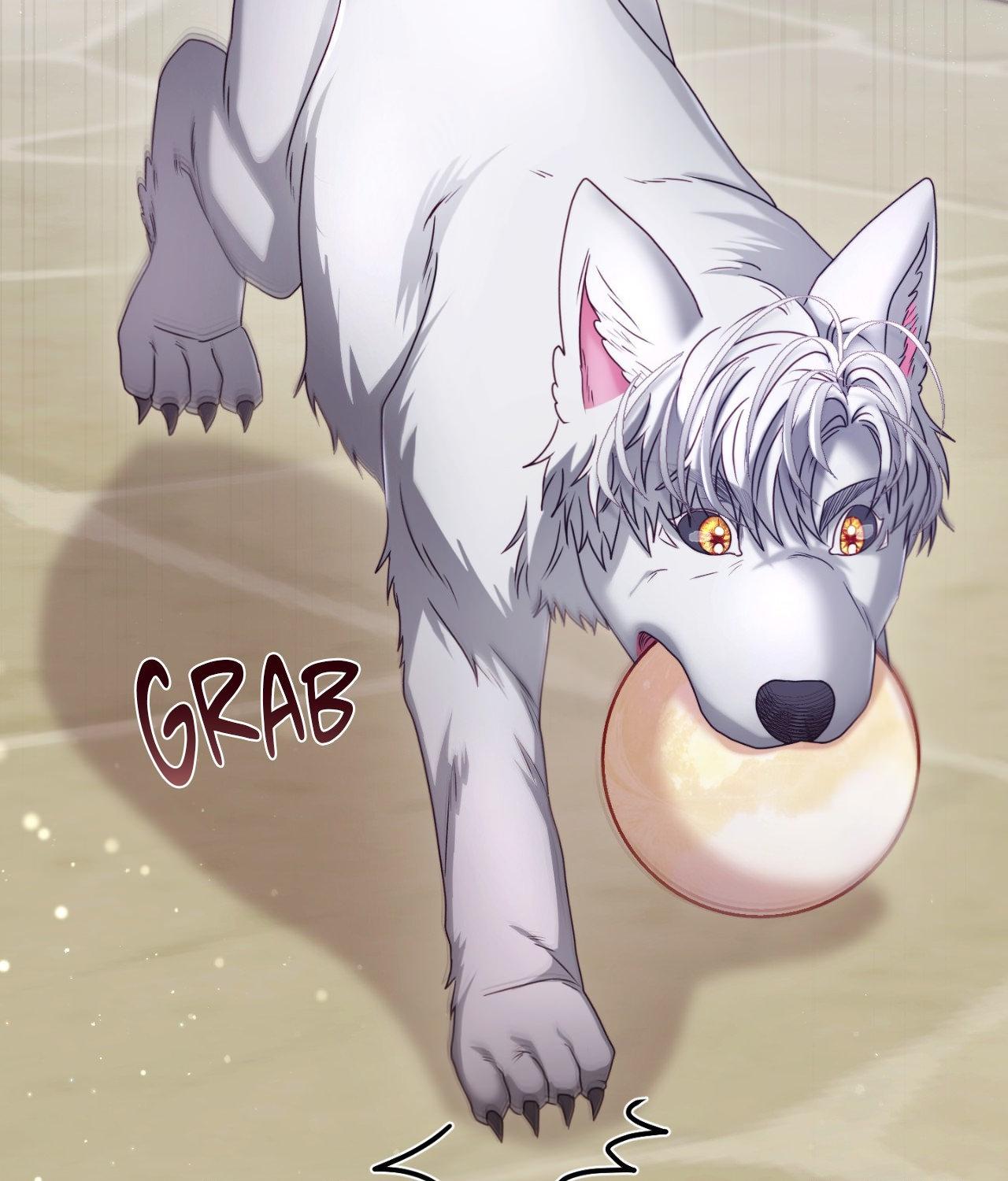 Wolf Under Sheep’s Clothing - Chapter 24 manhwa