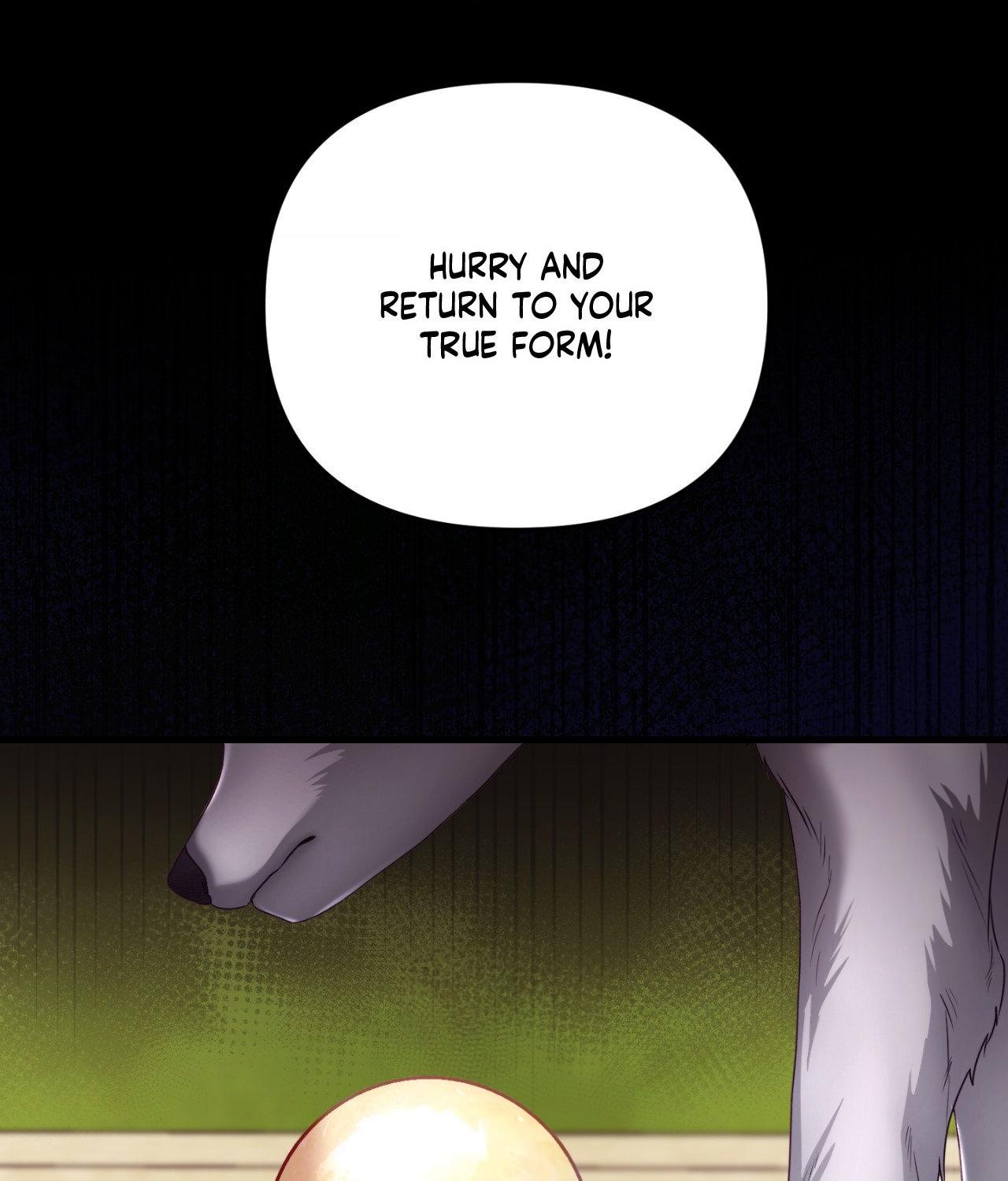 Wolf Under Sheep’s Clothing - Chapter 24 manhwa