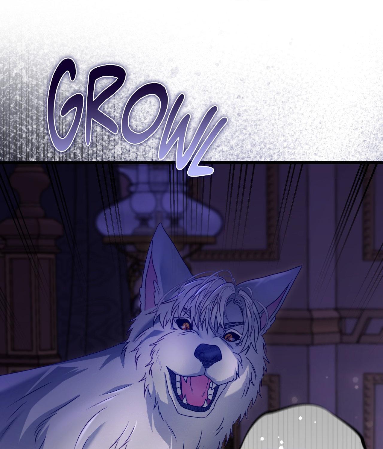 Wolf Under Sheep’s Clothing - Chapter 36 manhwa