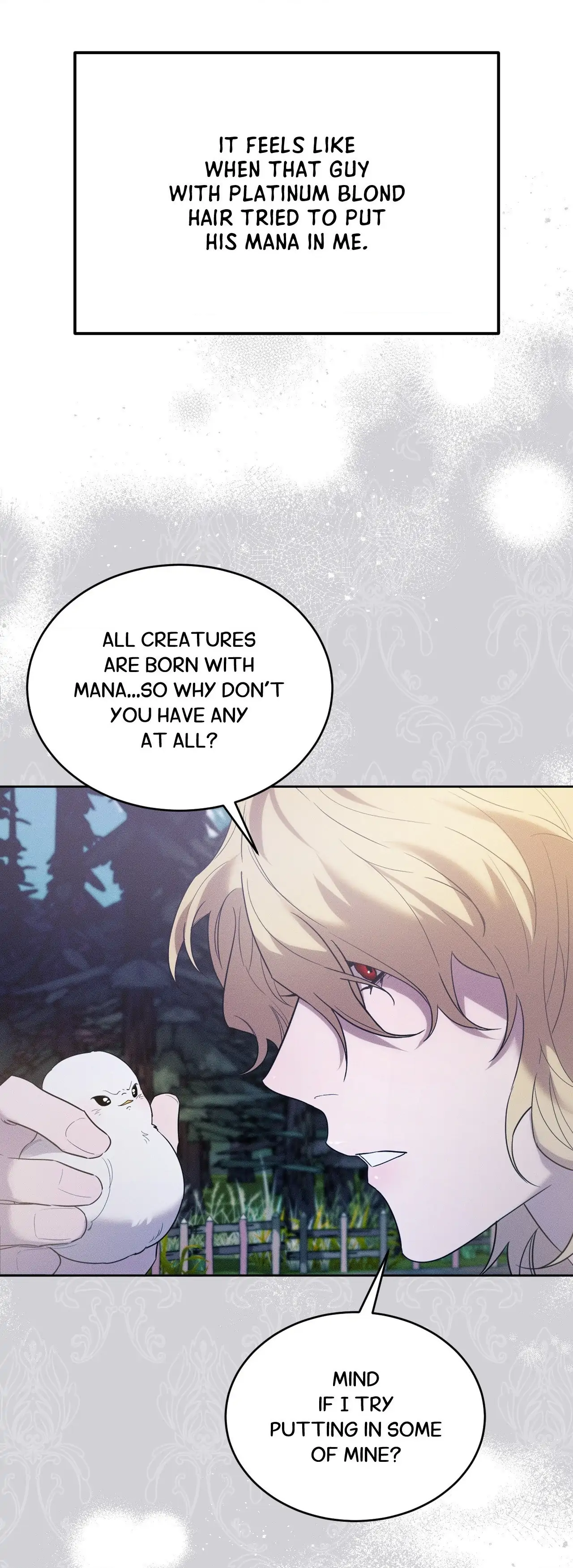 Not a Peep! - Chapter 24 manhwa