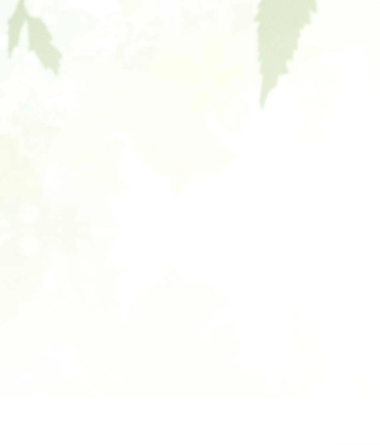 Not a Peep! - Chapter 41 manhwa