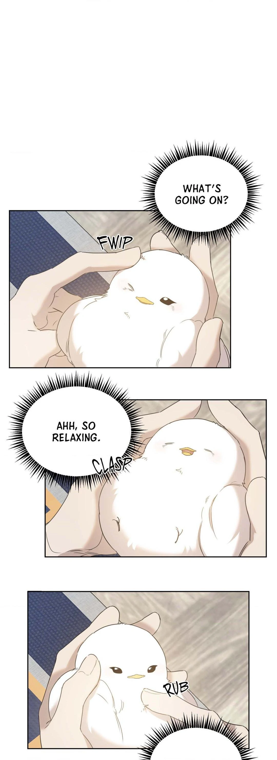 Not a Peep! - Chapter 5 manhwa