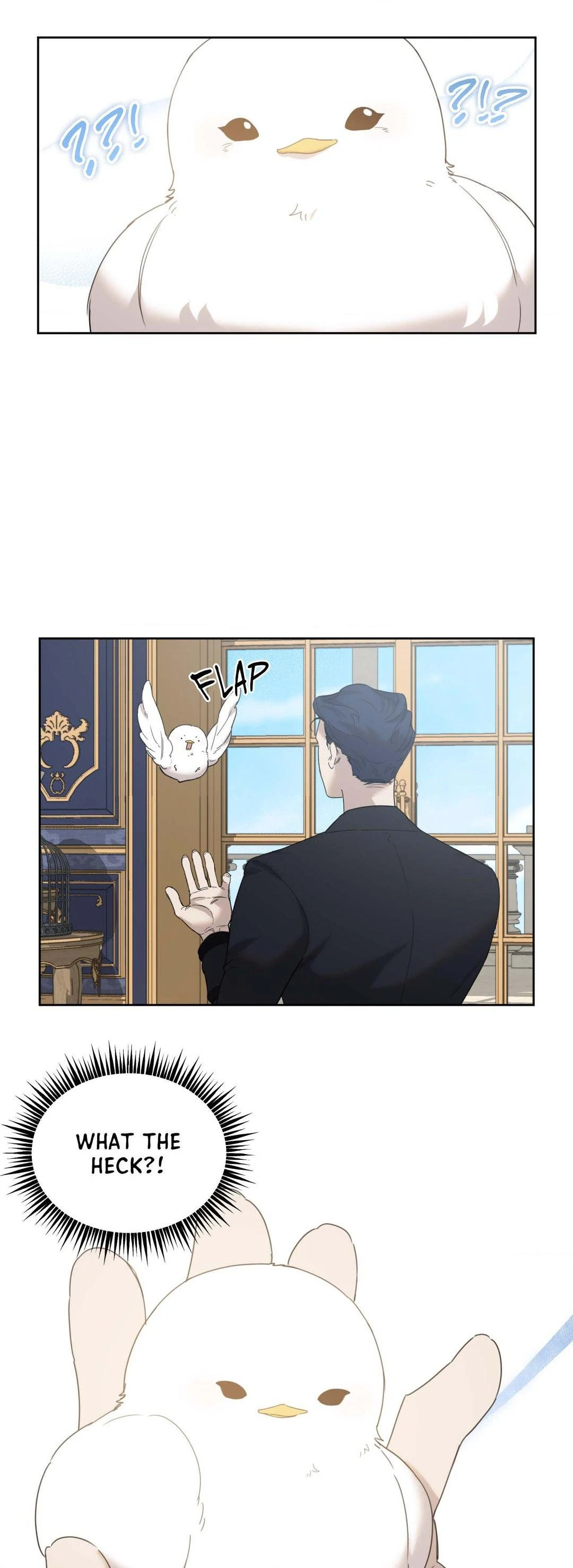 Not a Peep! - Chapter 5 manhwa