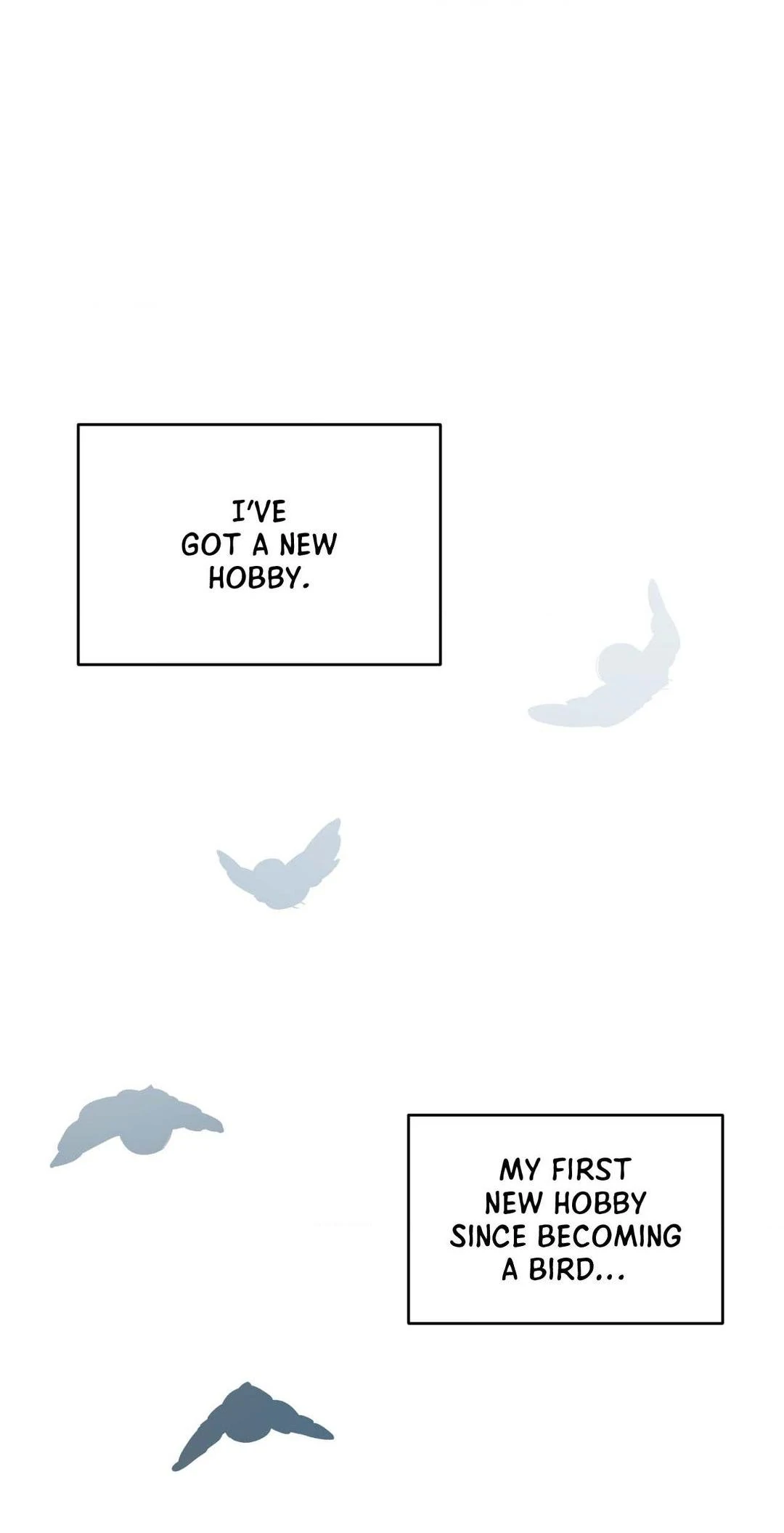 Not a Peep! - Chapter 8 manhwa