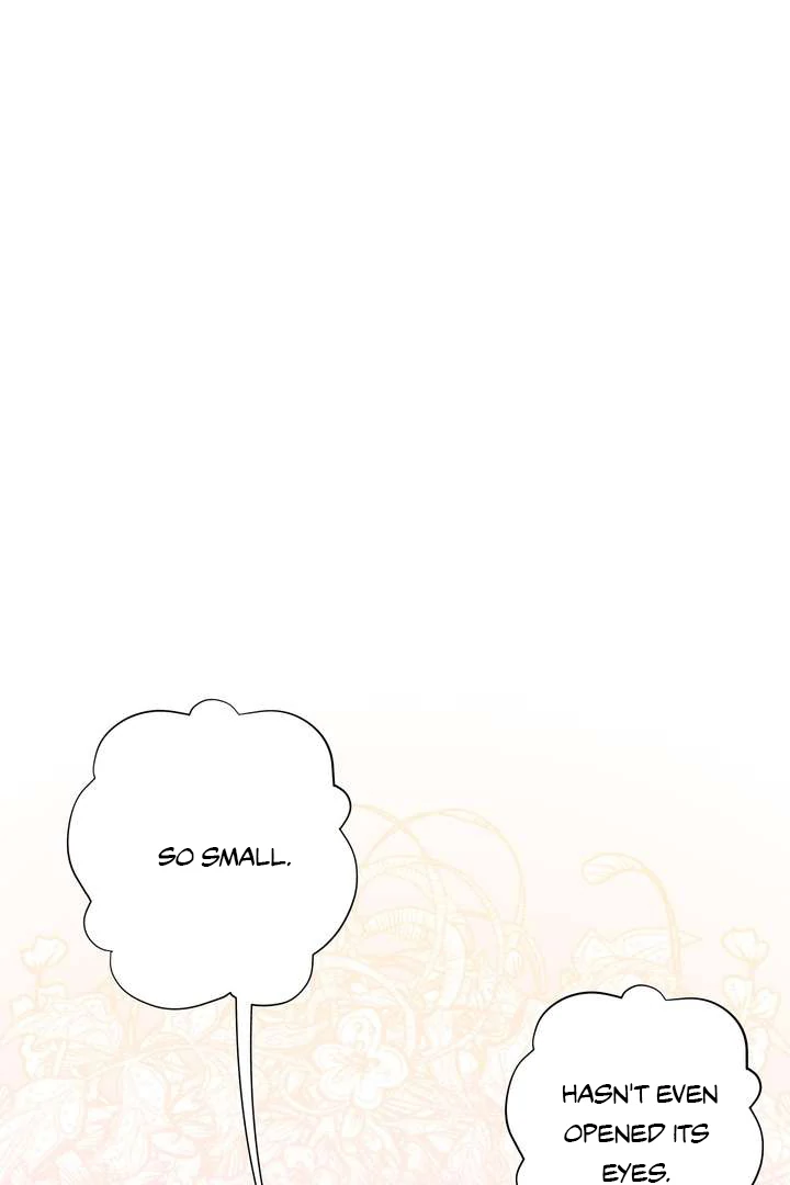 The Duke’s Baby Fever - Chapter 50 manhwa