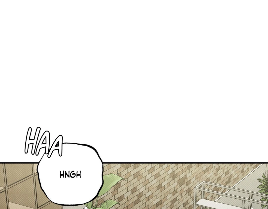 Feel My Benefit [Official] - Chapter 15 manhwa