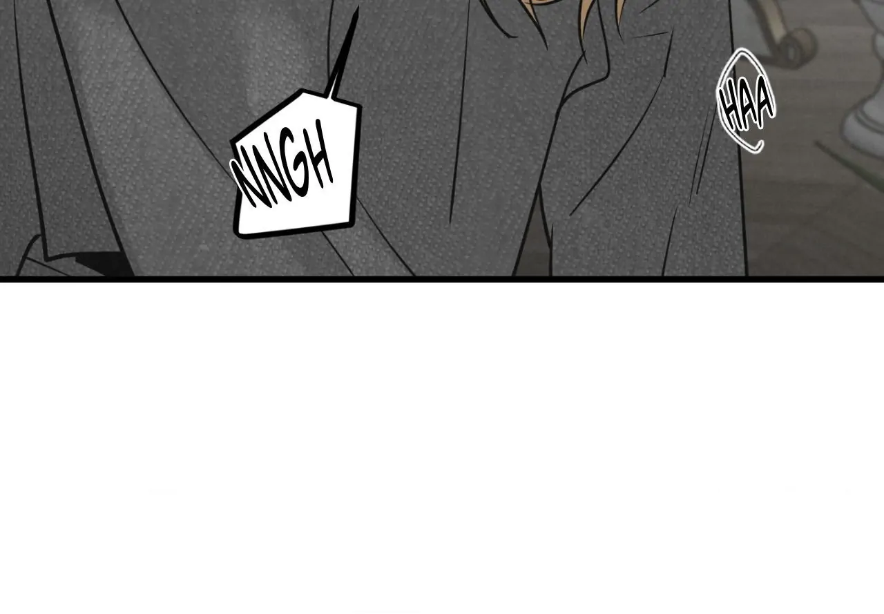 A Golden Pair [Official] - Chapter 37 manhwa