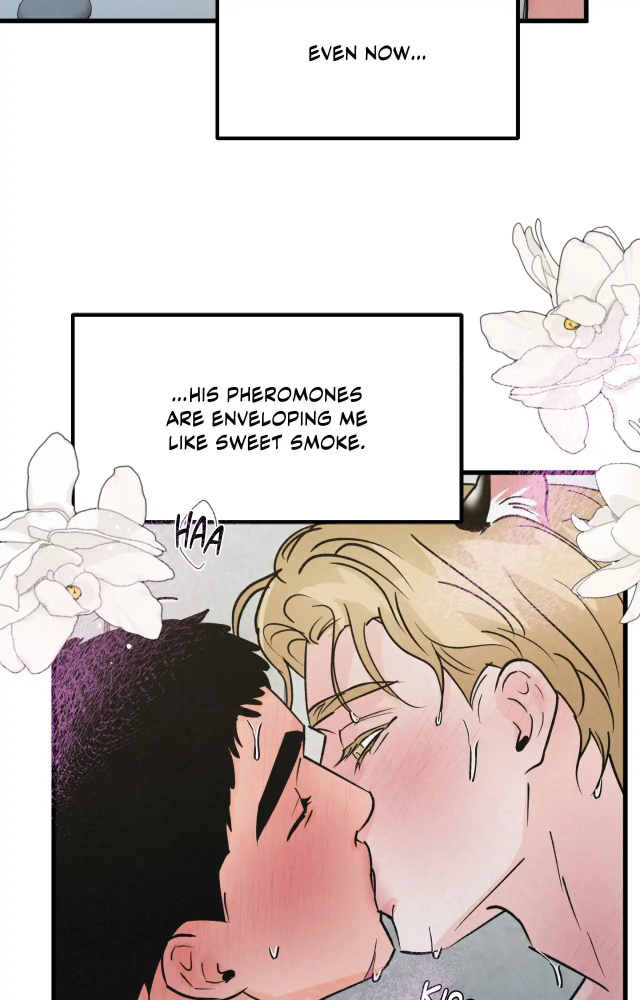 A Golden Pair [Official] - Chapter 40 manhwa