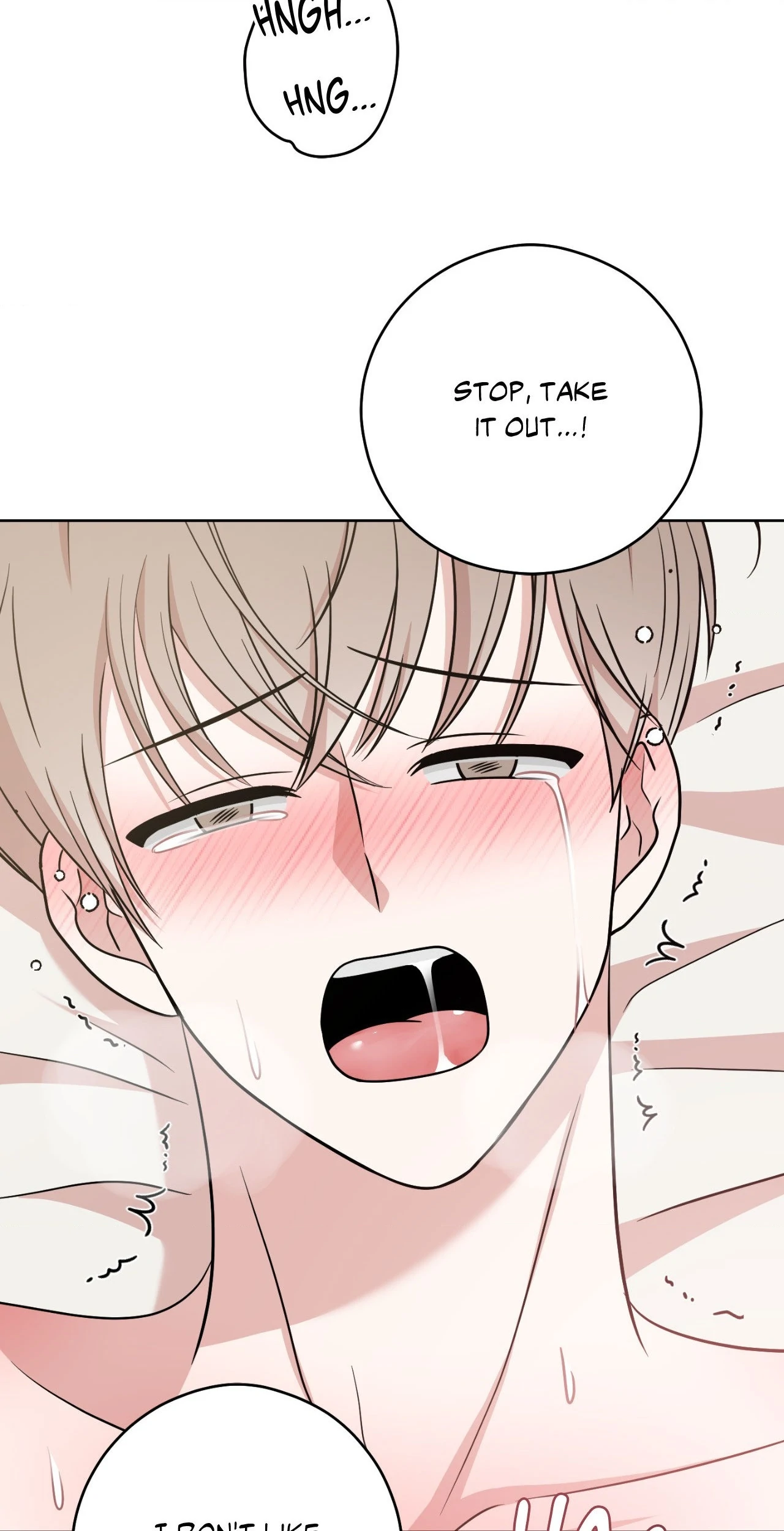 My Sassy Celebrity - Chapter 17 manhwa