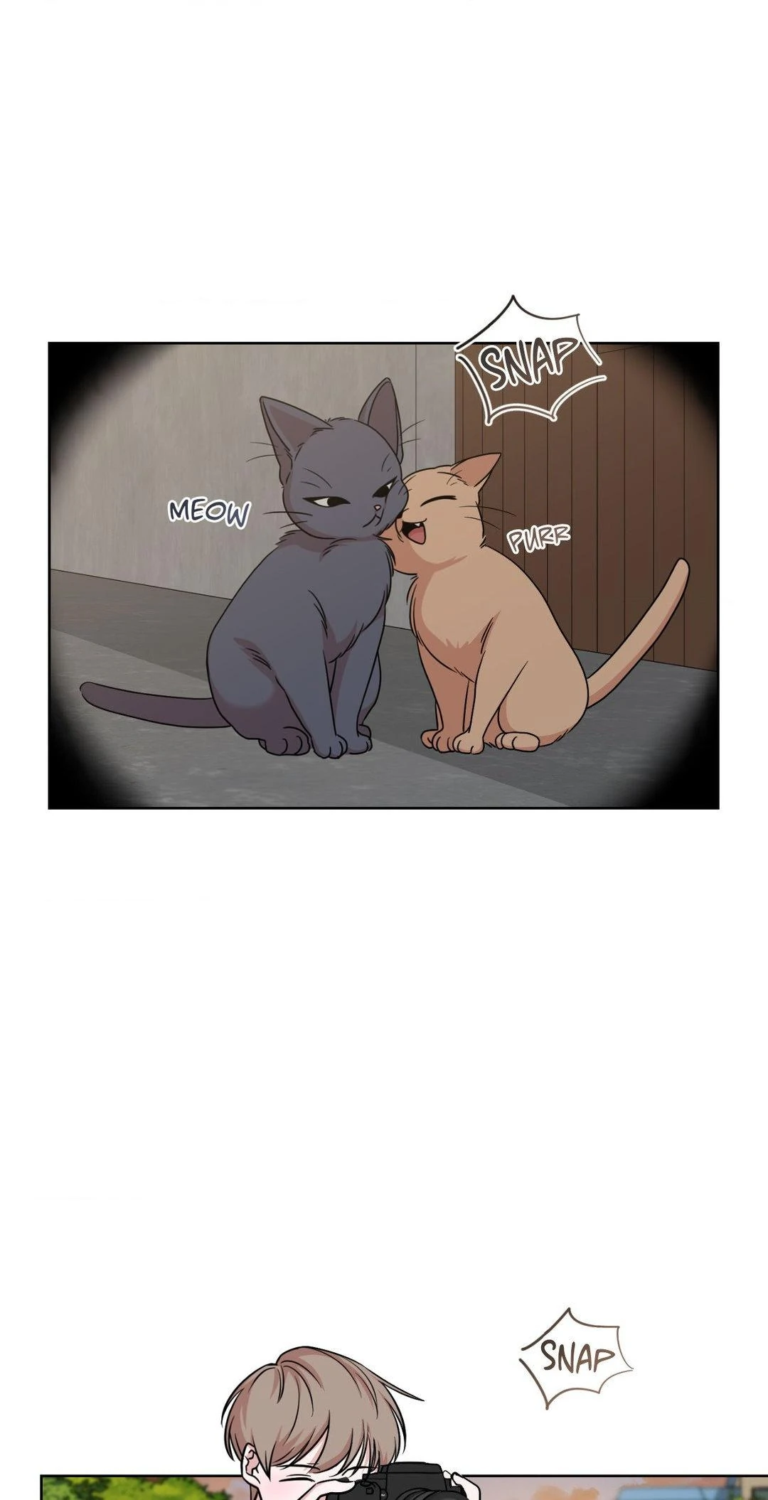 My Sassy Celebrity - Chapter 5 manhwa