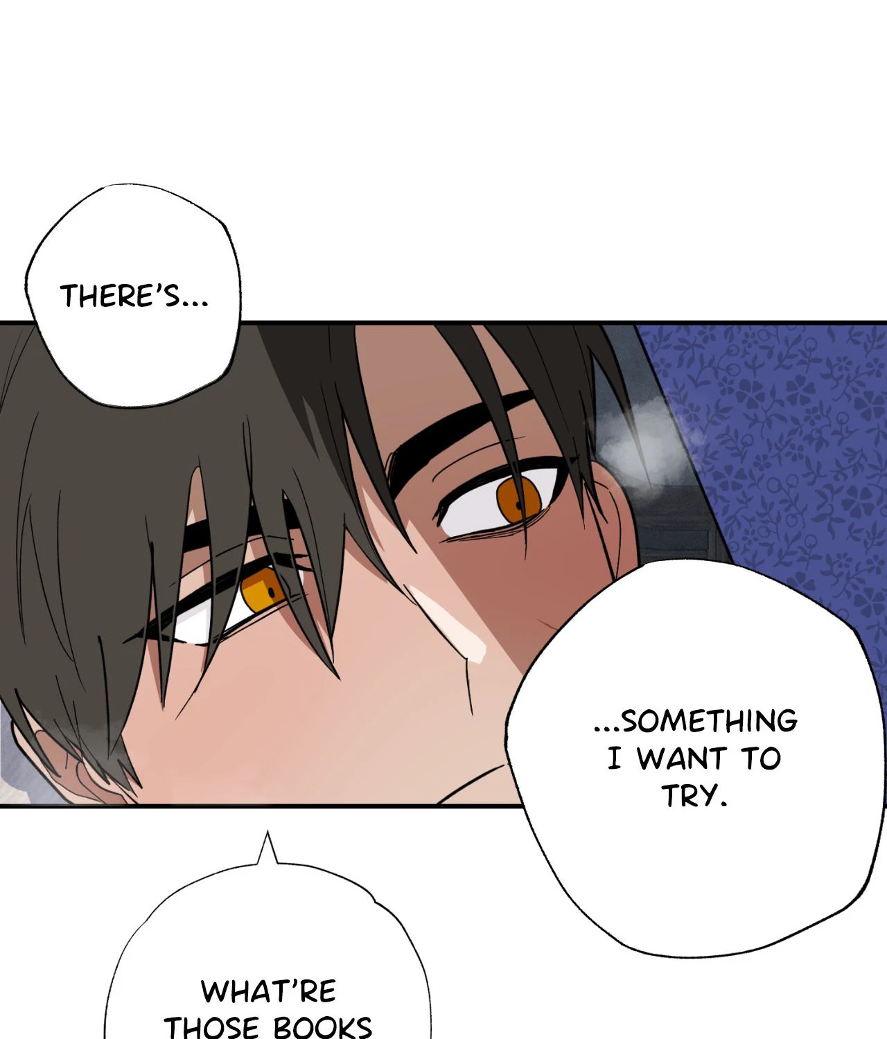 You Can’t Come, Sir! - side story 1 manhwa