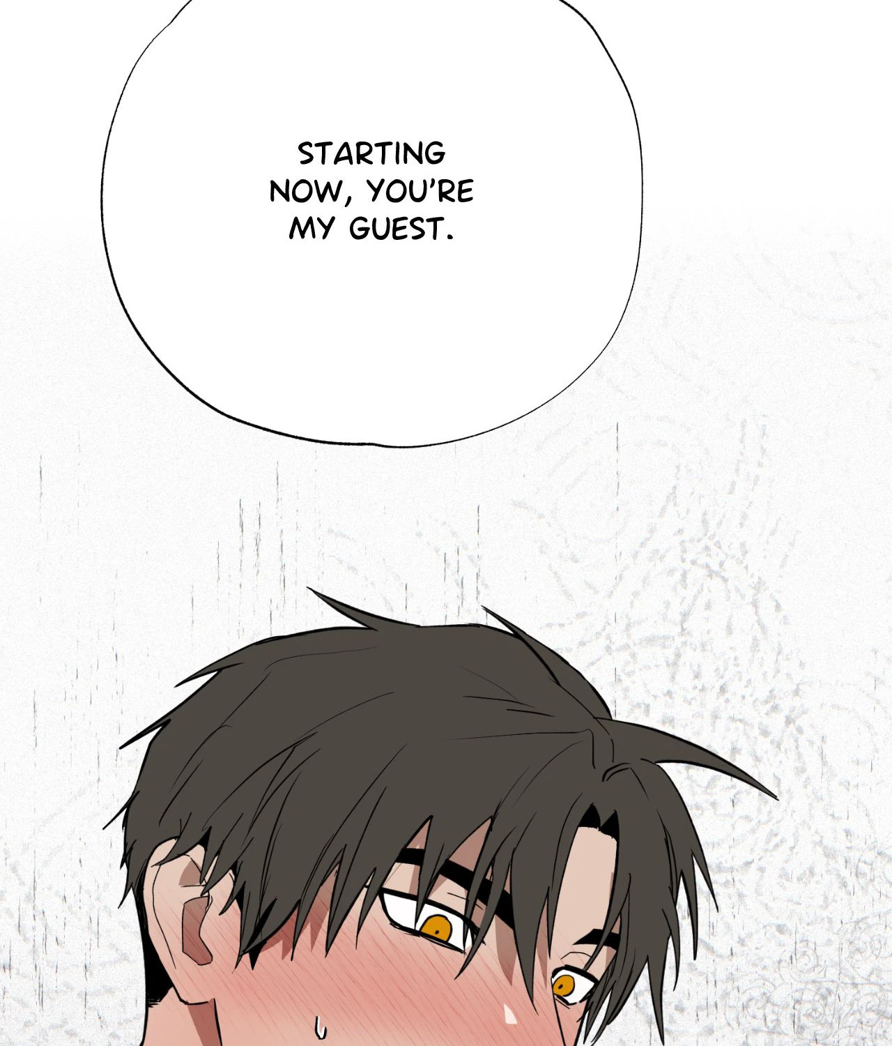 You Can’t Come, Sir! - side story 2 manhwa