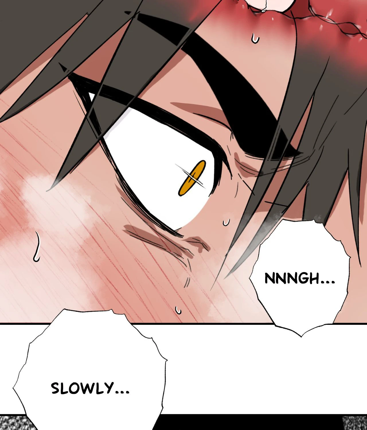 You Can’t Come, Sir! - The End manhwa