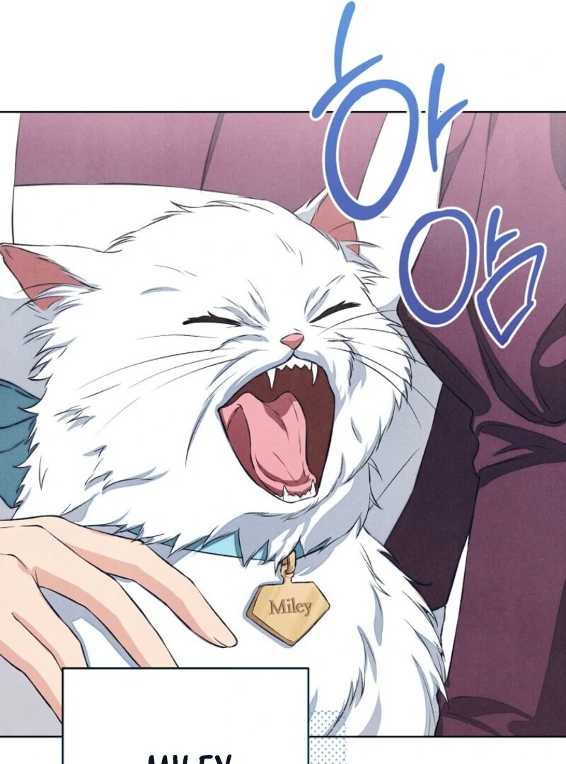 The Duke’s Wife Obsession (Valir Scans) - Chapter 42 manhwa