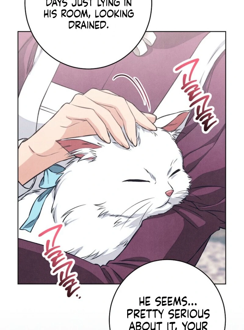 The Duke’s Wife Obsession (Valir Scans) - Chapter 42 manhwa