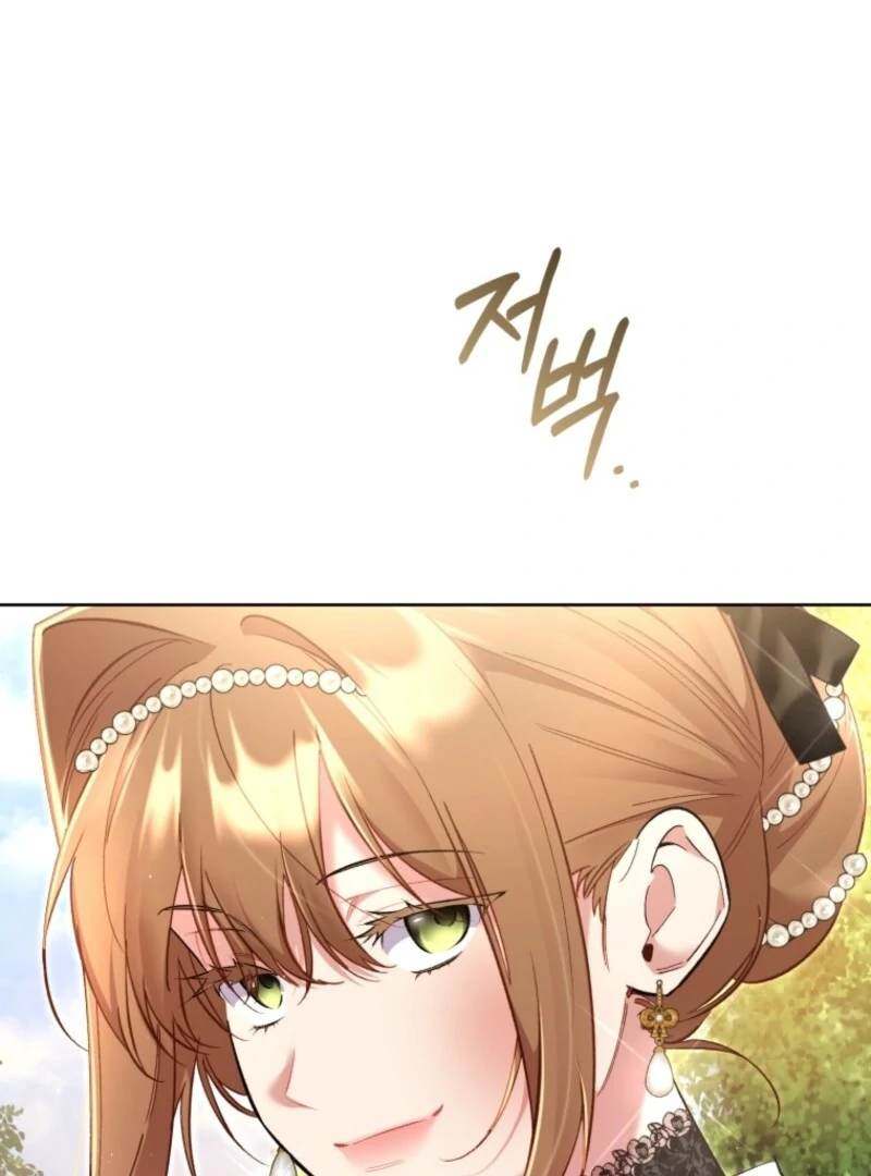 Don’t Worry, We Both Agreed to this Fraudulent Marriage (Valir Scans) - Chapter 42 manhwa