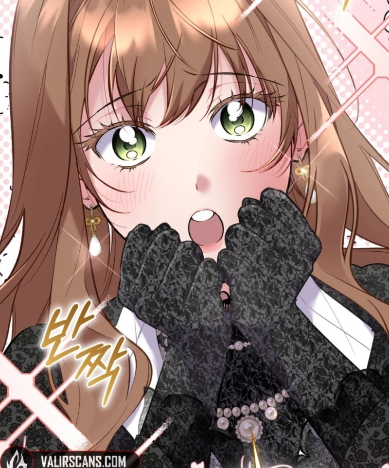 Don’t Worry, We Both Agreed to this Fraudulent Marriage (Valir Scans) - Chapter 43 manhwa