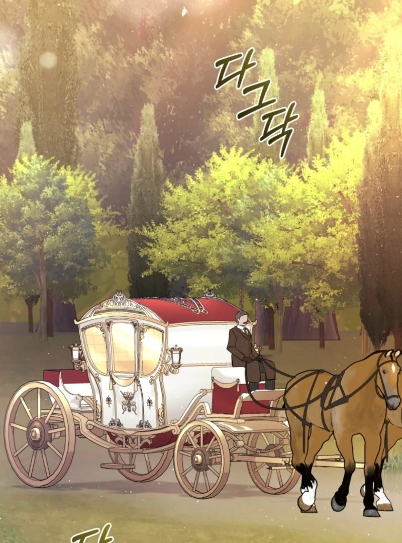Don’t Worry, We Both Agreed to this Fraudulent Marriage (Valir Scans) - Chapter 43 manhwa