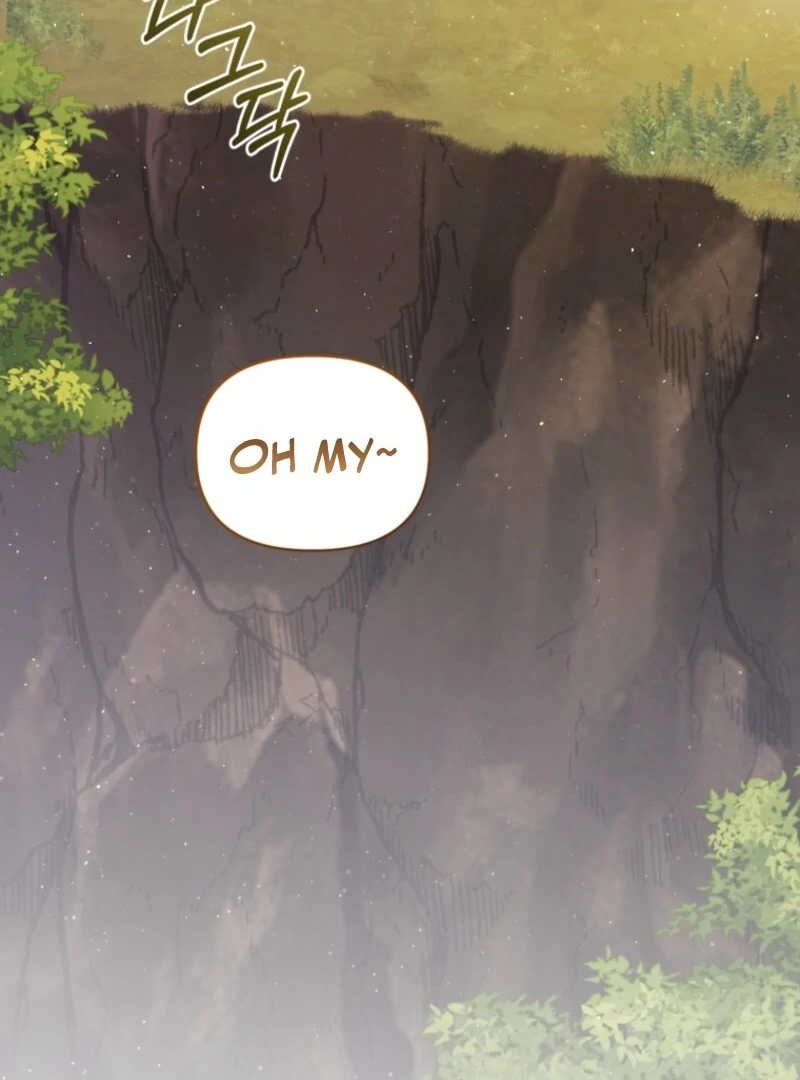 Don’t Worry, We Both Agreed to this Fraudulent Marriage (Valir Scans) - Chapter 43 manhwa