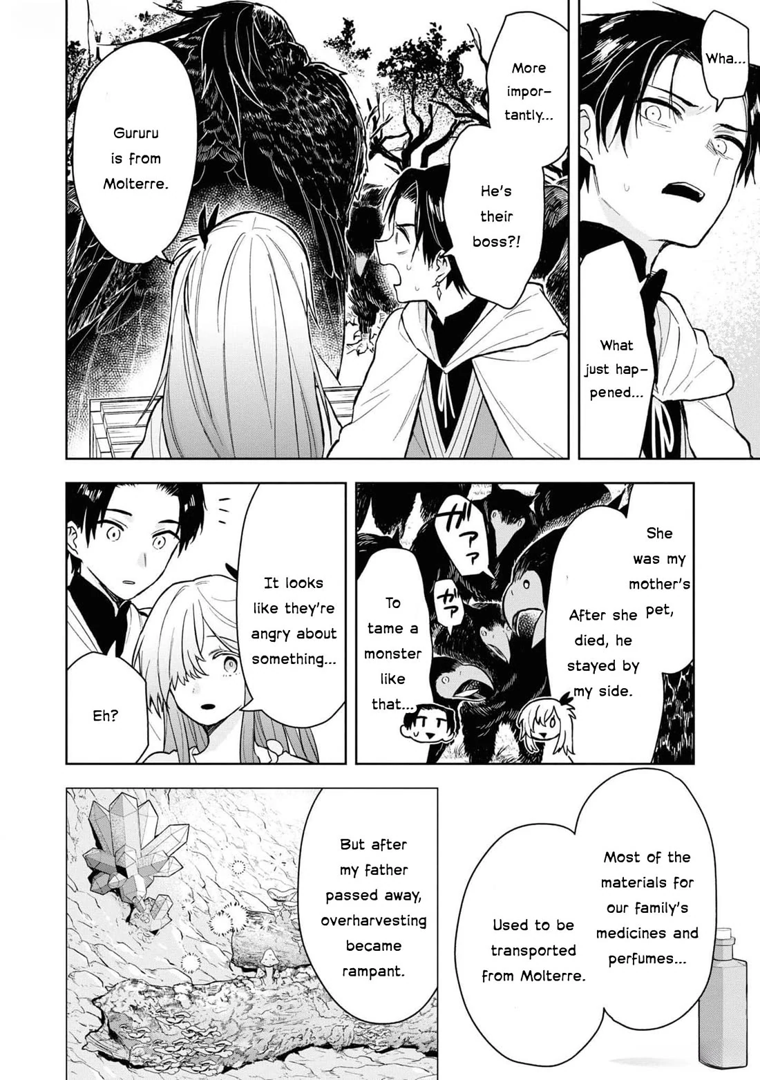 Though I May Be a Villainess, I’ll Show You I Can Obtain Happiness! - Volume 11 Chapter 5 manhwa