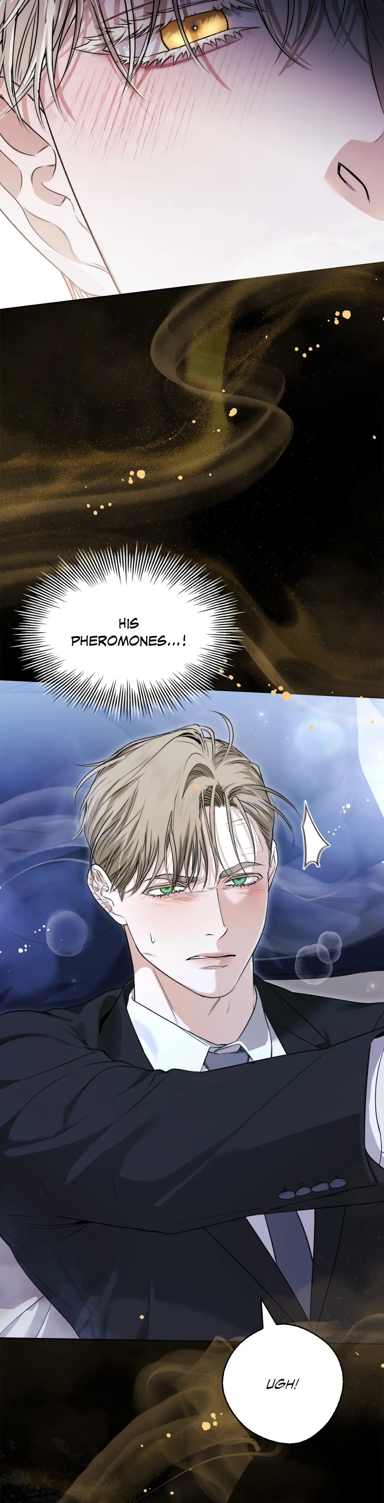 Kiss Me If You Can [Official][Uncensored] - Chapter 12 manhwa