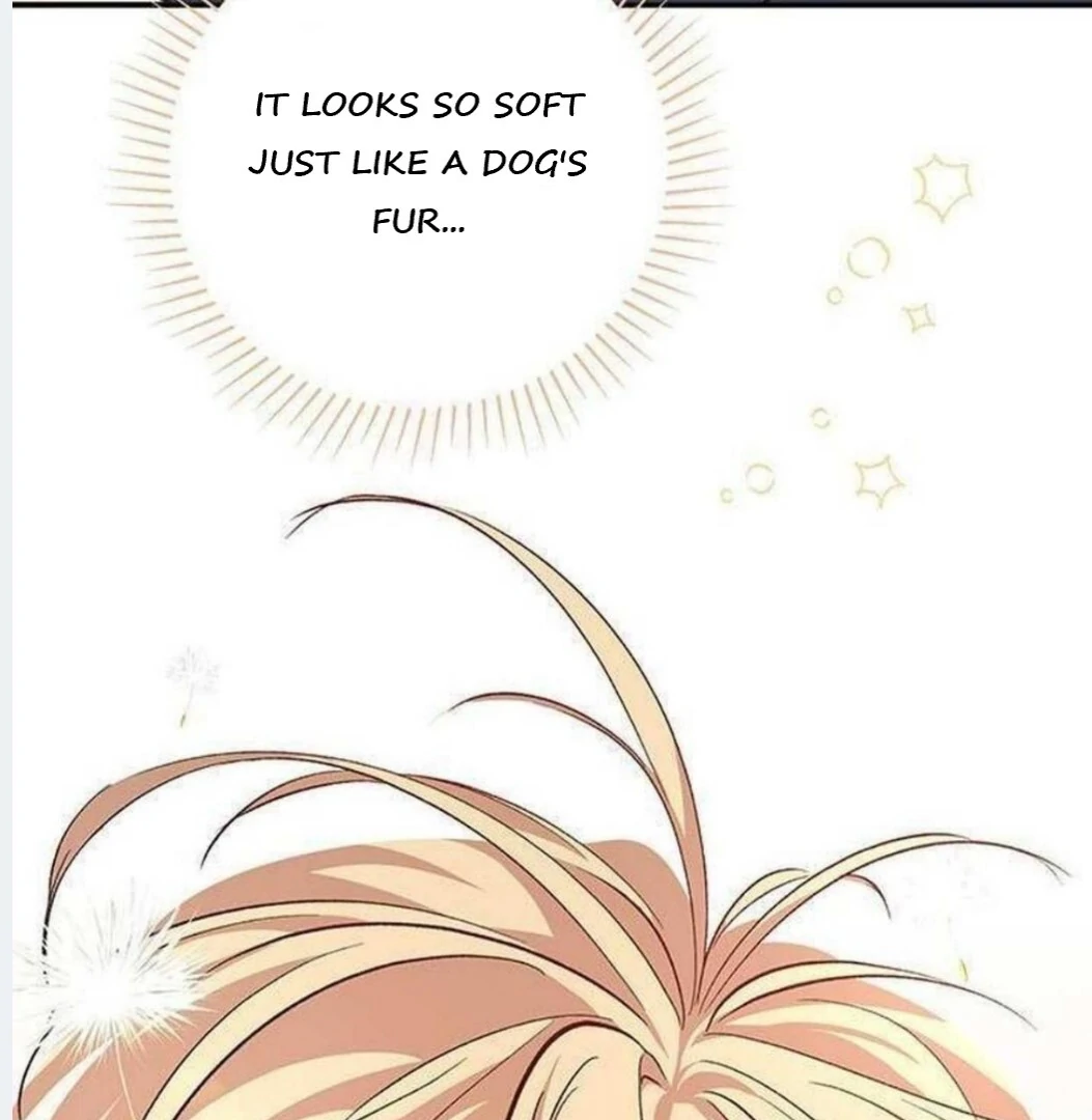 Dandelion Flower Observation Diary ( NOSY X PARADISE ) - Chapter 1 manhwa